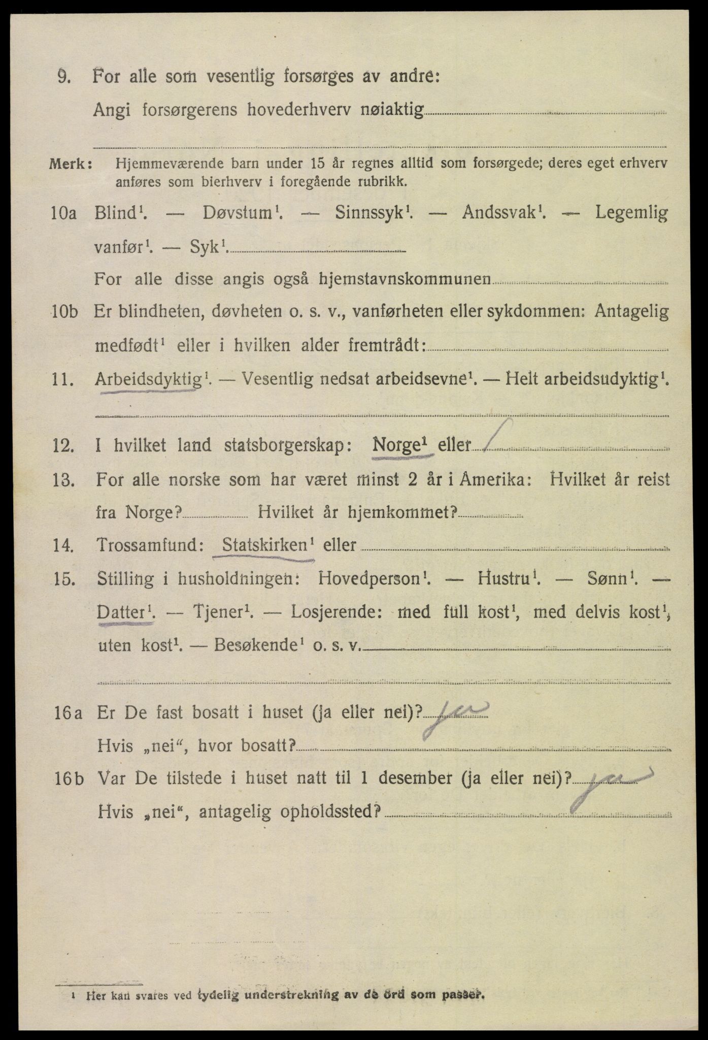 SAK, 1920 census for Hornnes, 1920, p. 3058