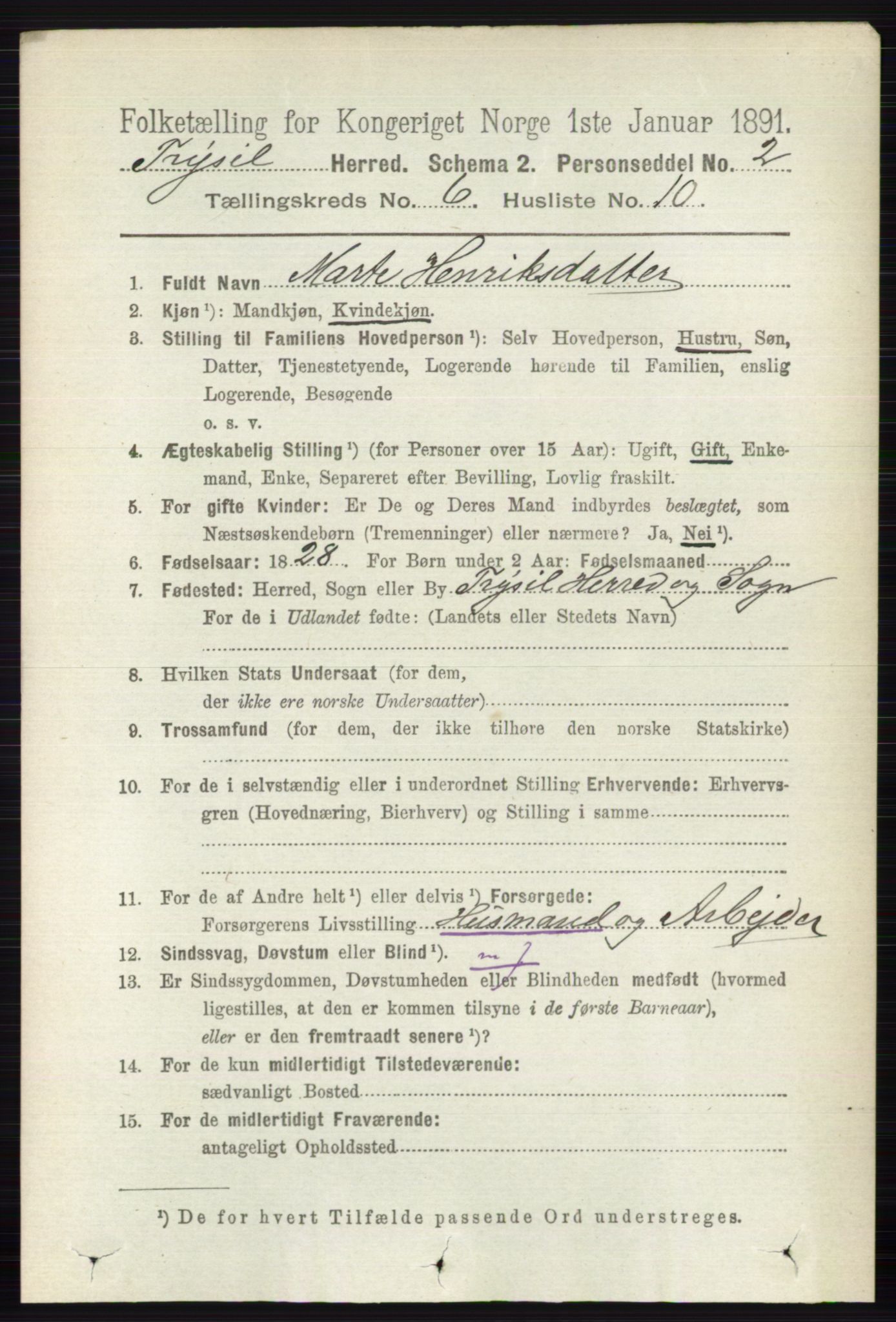 RA, 1891 census for 0428 Trysil, 1891, p. 2845