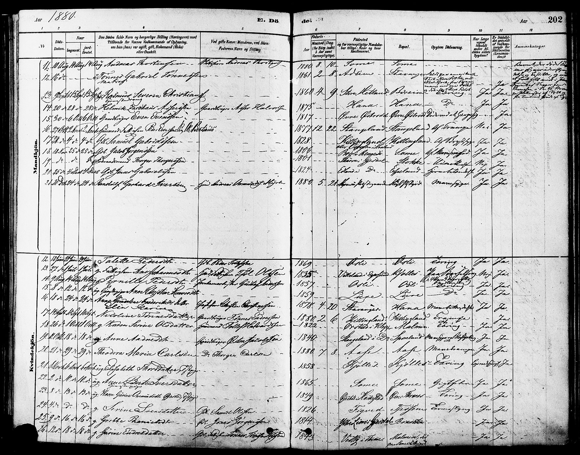 Høyland sokneprestkontor, AV/SAST-A-101799/001/30BA/L0011: Parish register (official) no. A 10, 1878-1888, p. 202