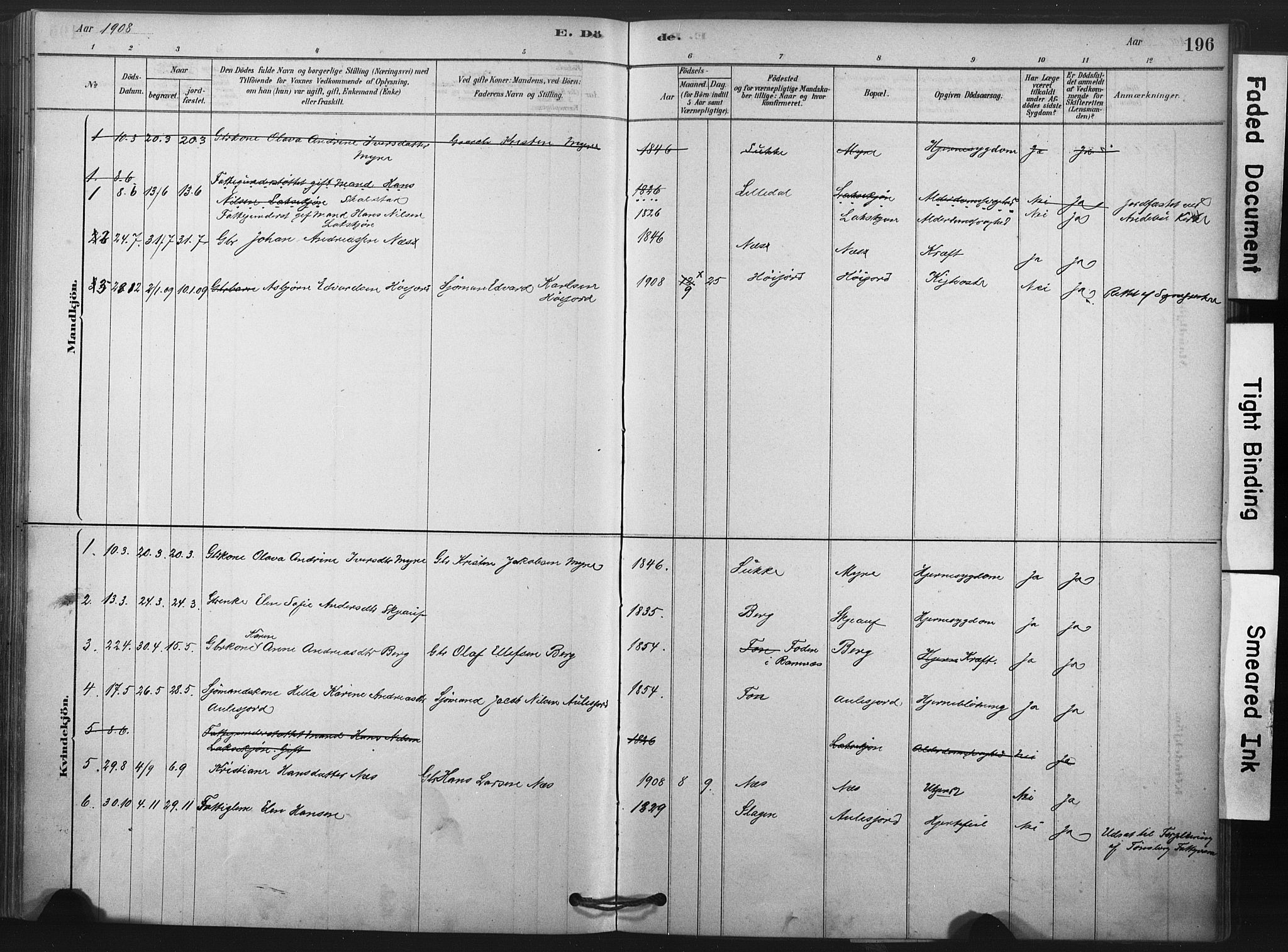 Andebu kirkebøker, SAKO/A-336/F/Fa/L0009: Parish register (official) no. 9, 1878-1909, p. 196