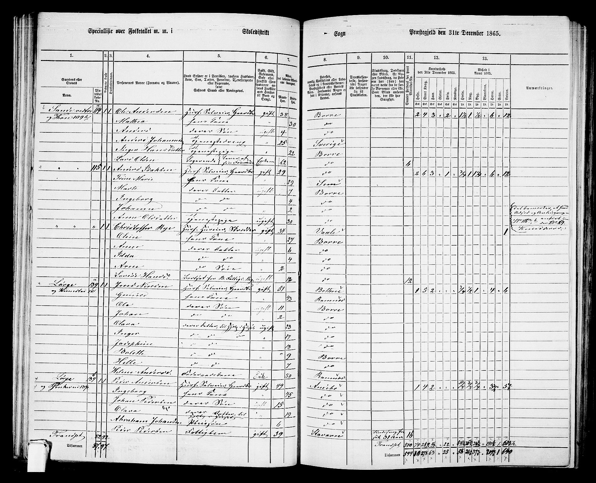 RA, 1865 census for Borre, 1865, p. 82