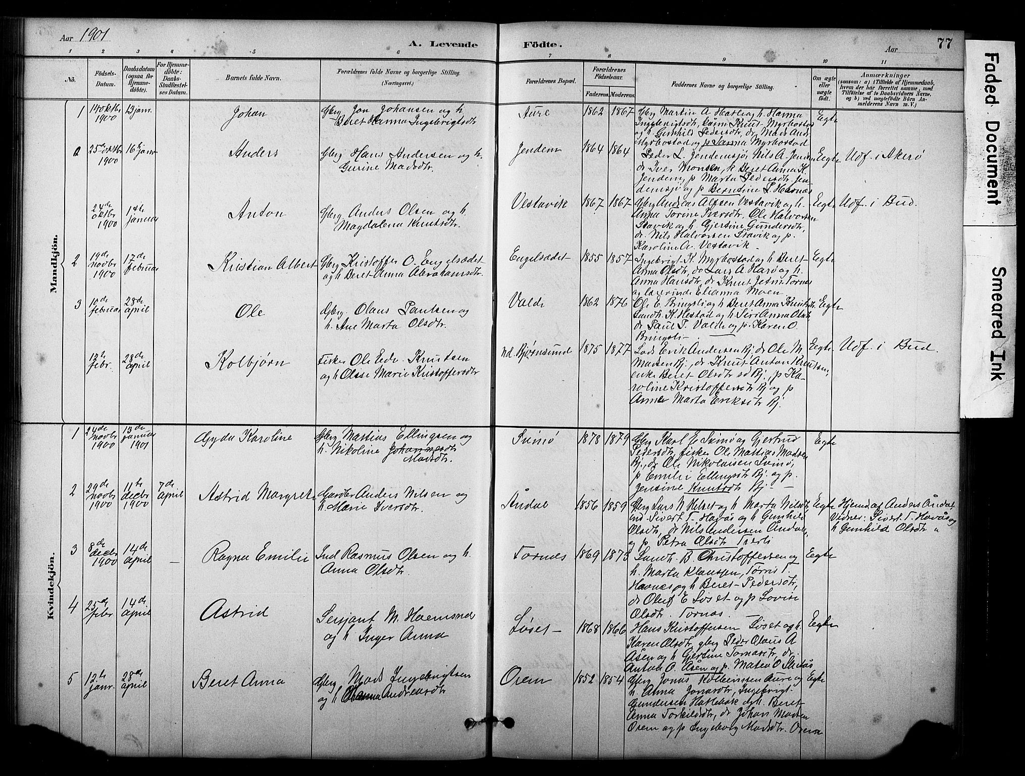 Ministerialprotokoller, klokkerbøker og fødselsregistre - Møre og Romsdal, AV/SAT-A-1454/565/L0755: Parish register (copy) no. 565C04, 1883-1903, p. 77