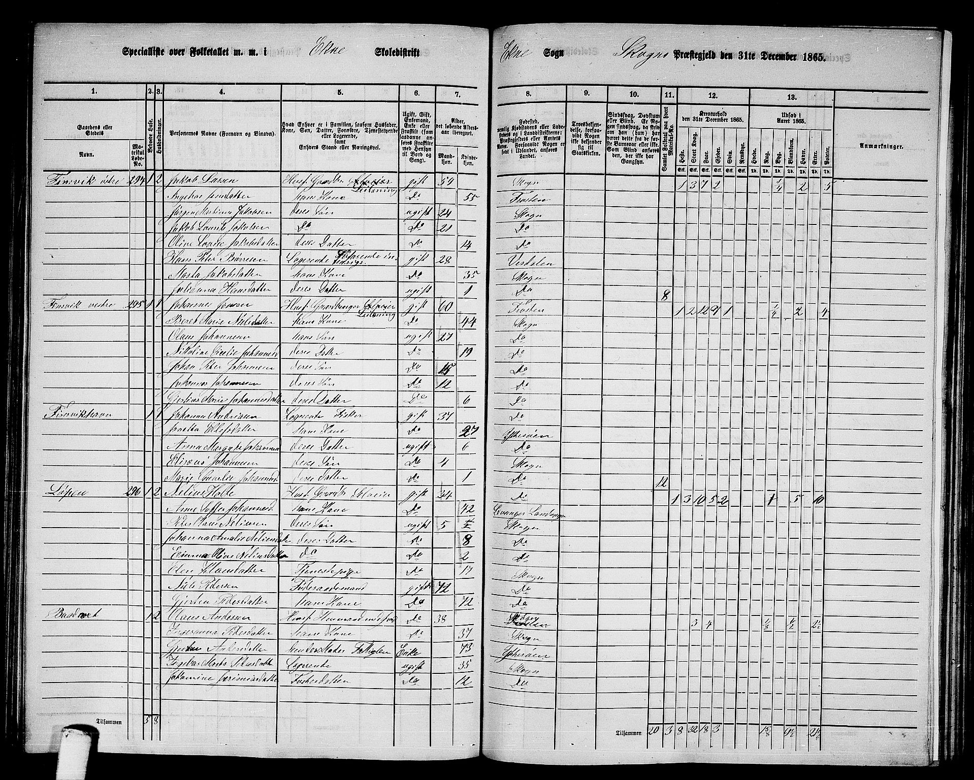 RA, 1865 census for Skogn, 1865, p. 160