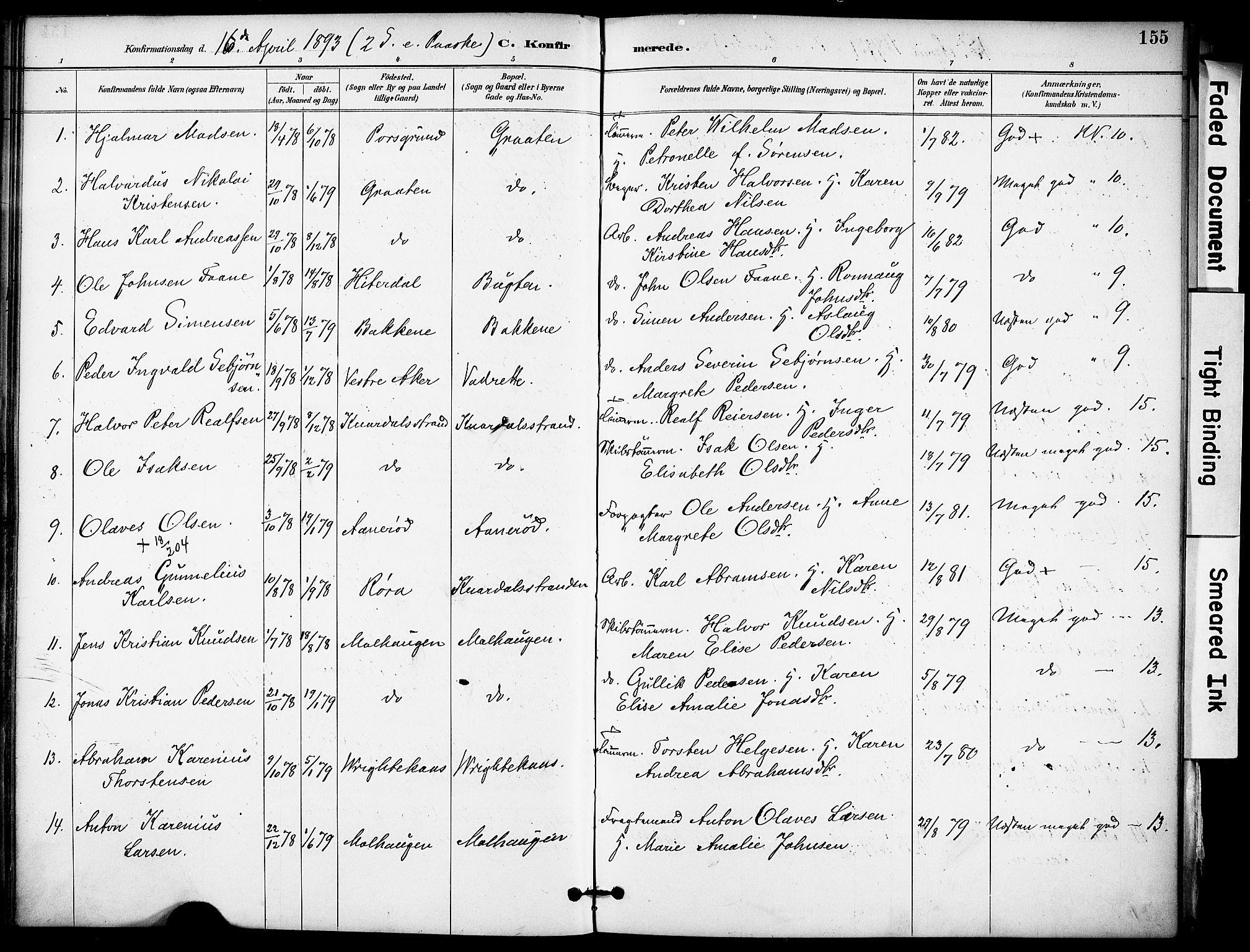 Solum kirkebøker, SAKO/A-306/F/Fa/L0010: Parish register (official) no. I 10, 1888-1898, p. 155