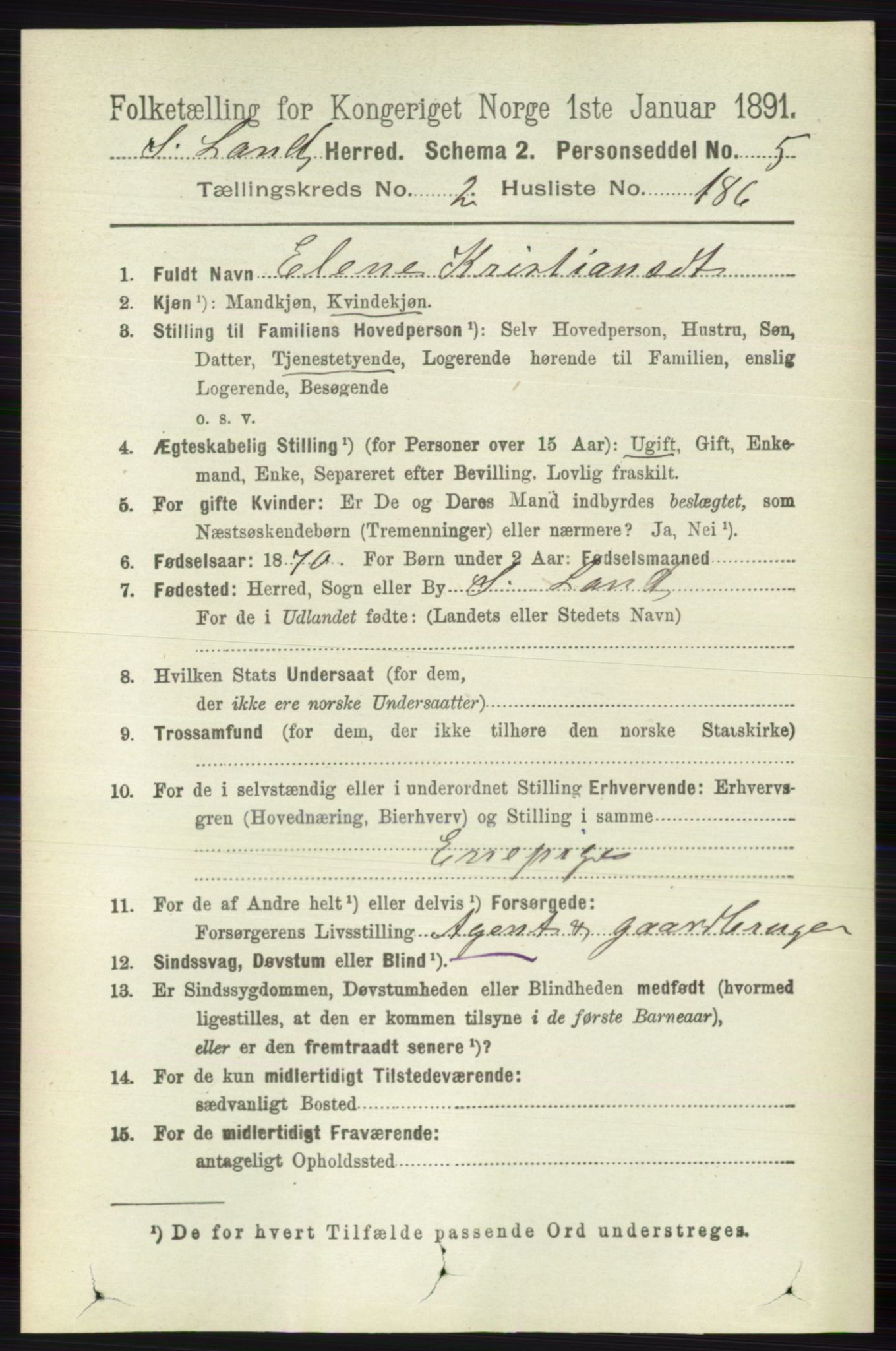 RA, 1891 census for 0536 Søndre Land, 1891, p. 2215