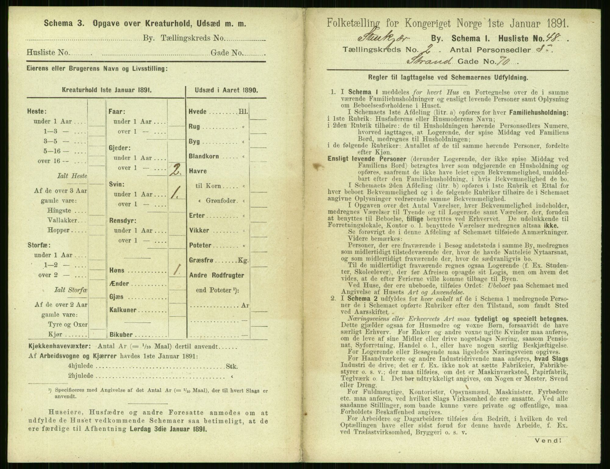 RA, 1891 census for 1702 Steinkjer, 1891, p. 352