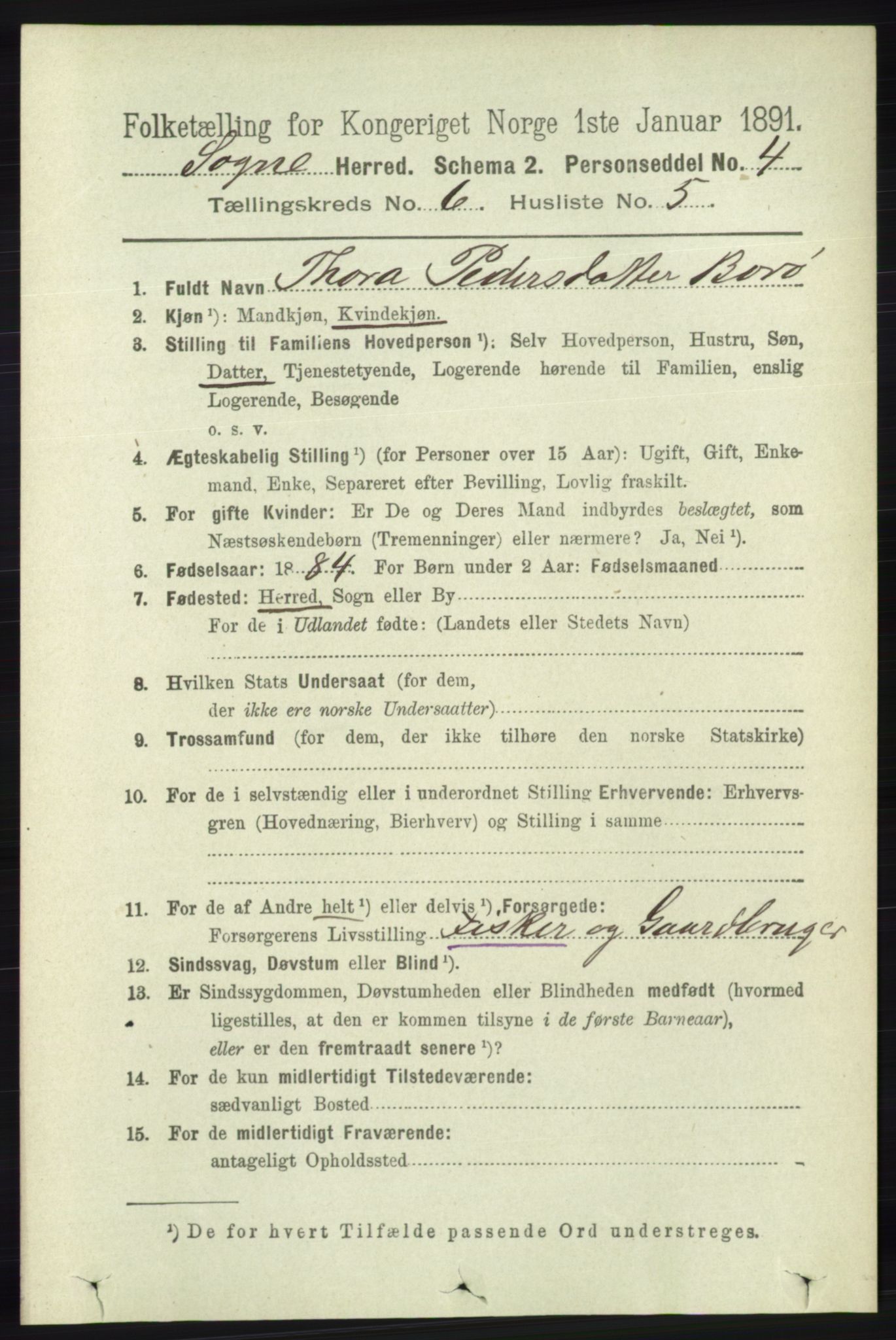RA, 1891 census for 1018 Søgne, 1891, p. 1393