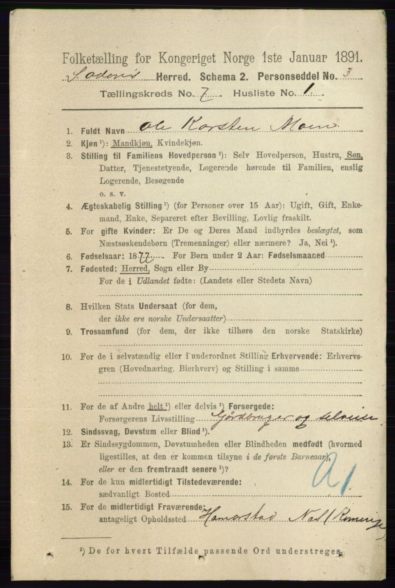 RA, 1891 census for 0419 Sør-Odal, 1891, p. 3557