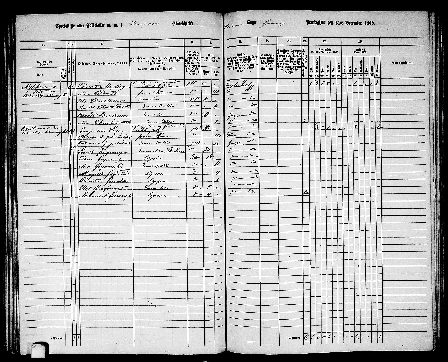 RA, 1865 census for Grong, 1865, p. 117