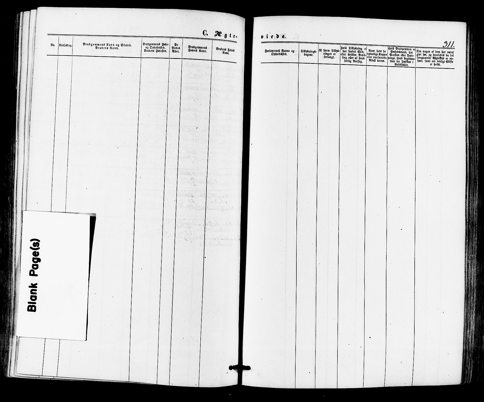 Lier kirkebøker, AV/SAKO-A-230/F/Fa/L0013: Parish register (official) no. I 13, 1865-1874, p. 311