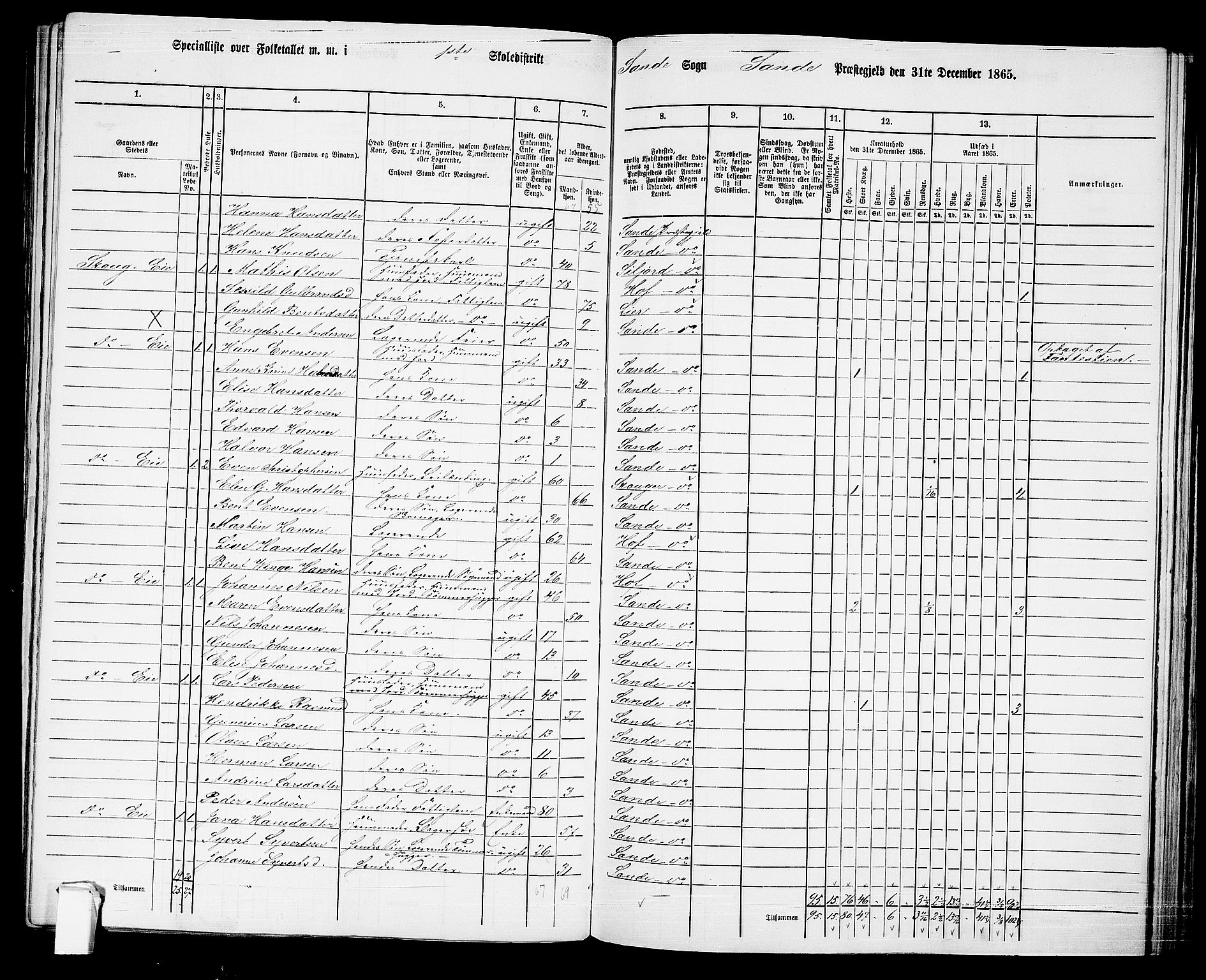 RA, 1865 census for Sande, 1865, p. 25