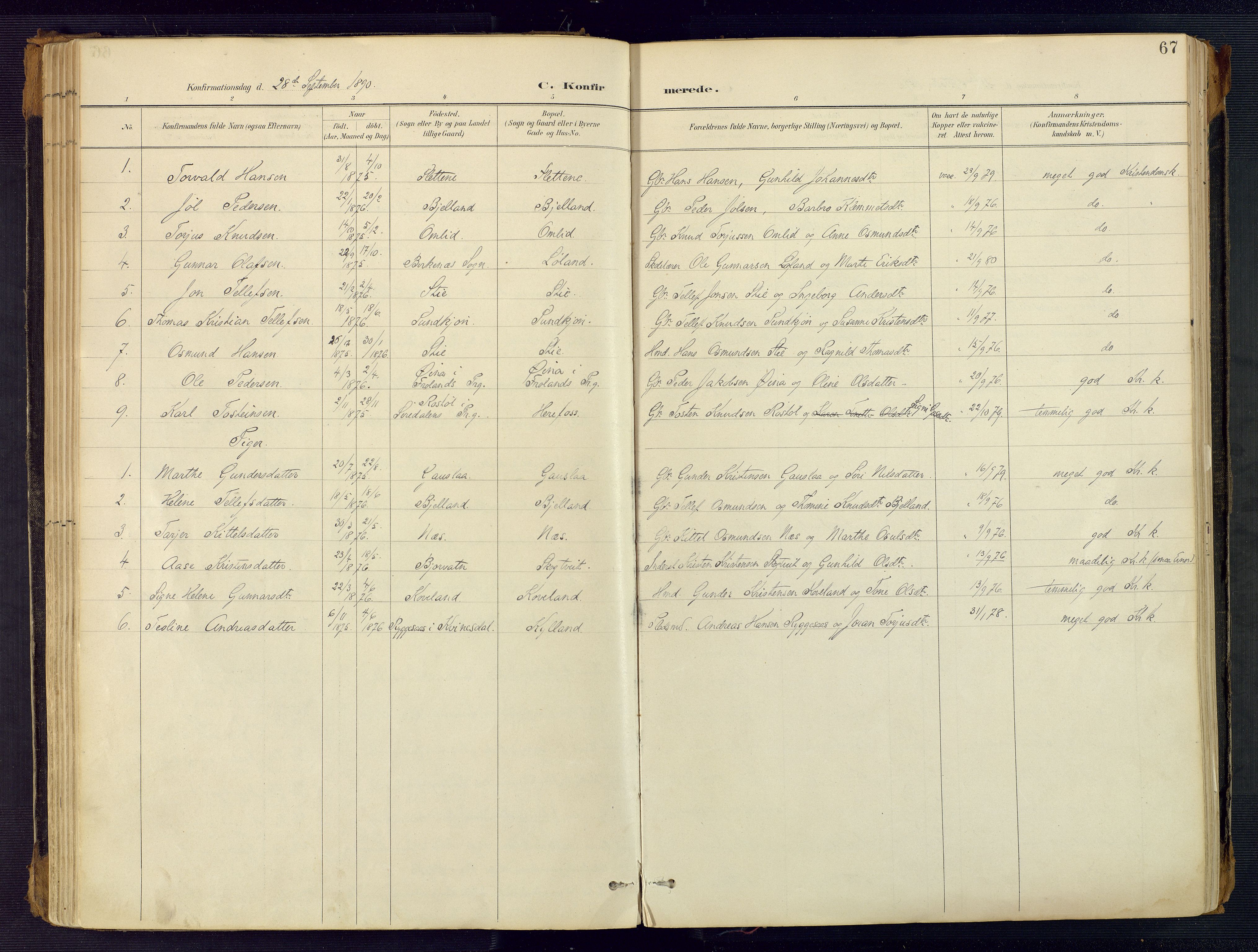 Herefoss sokneprestkontor, SAK/1111-0019/F/Fa/Faa/L0003: Parish register (official) no. A 3, 1887-1930, p. 67
