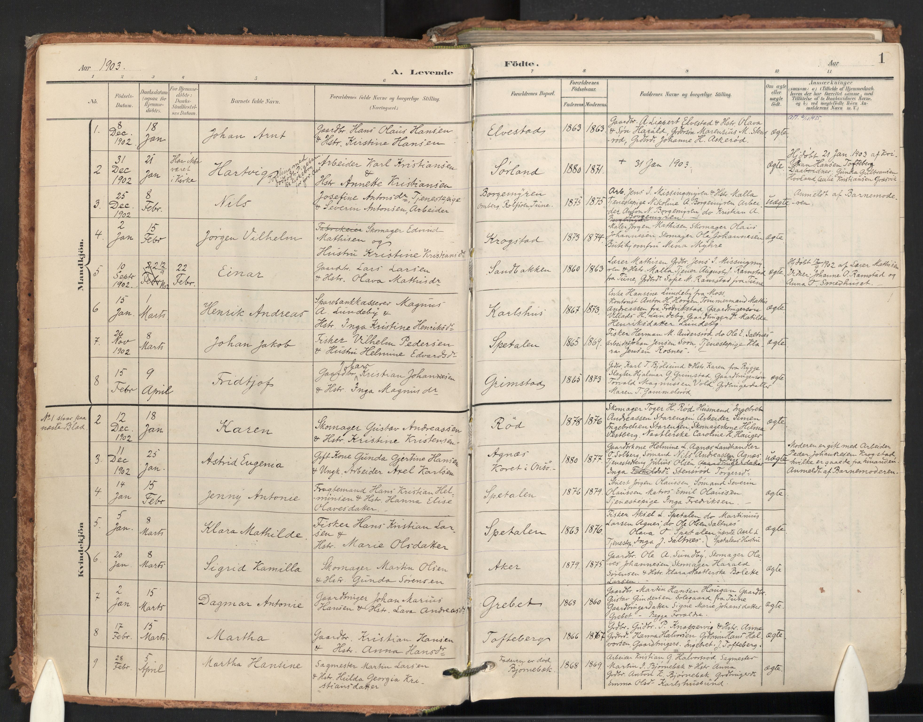 Råde prestekontor kirkebøker, SAO/A-2009/F/Fa/L0008: Parish register (official) no. 8, 1903-1924, p. 1