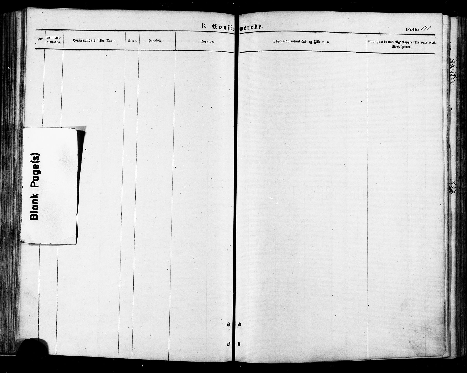 Ministerialprotokoller, klokkerbøker og fødselsregistre - Nordland, AV/SAT-A-1459/895/L1370: Parish register (official) no. 895A05, 1873-1884, p. 120