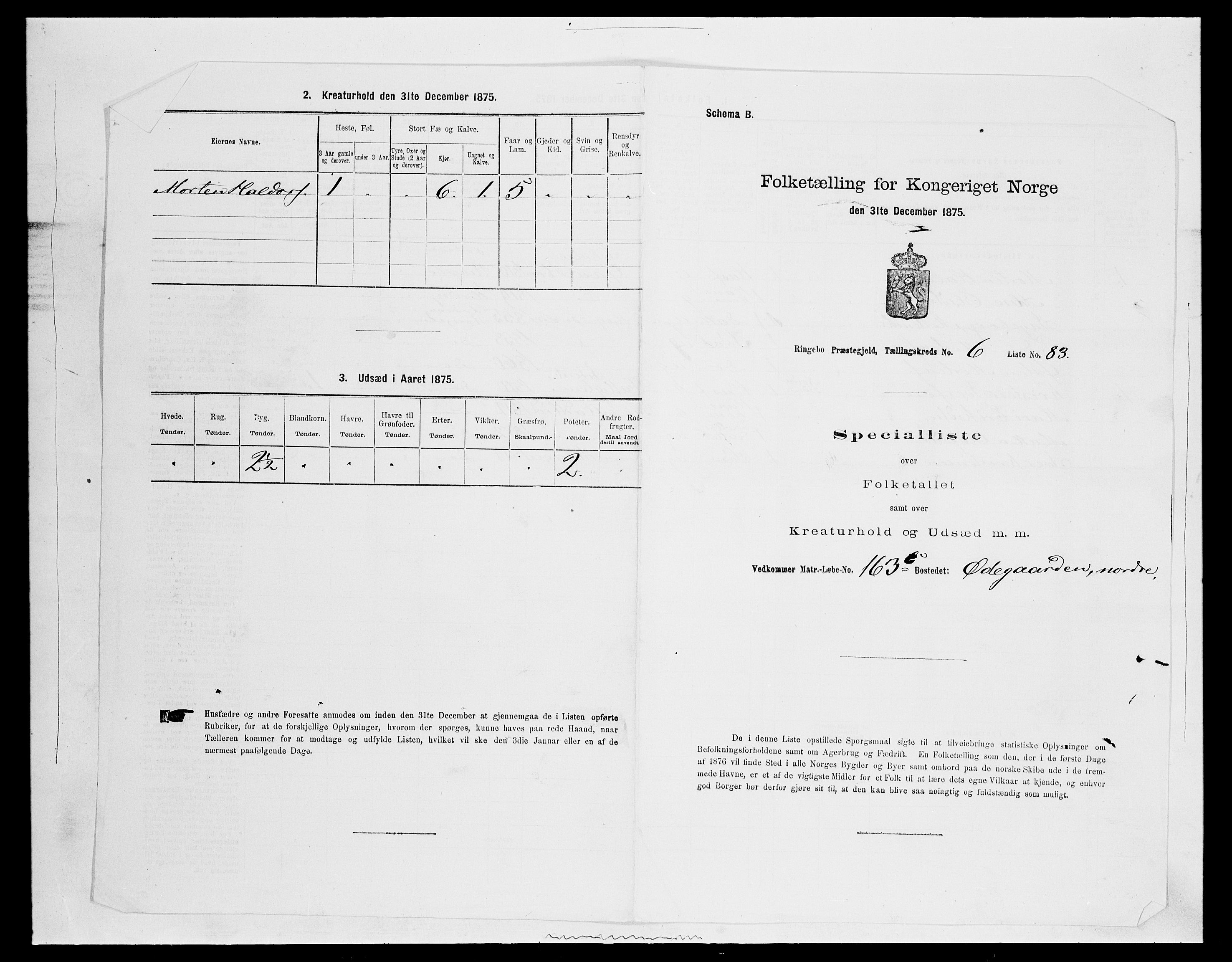 SAH, 1875 census for 0520P Ringebu, 1875, p. 1005