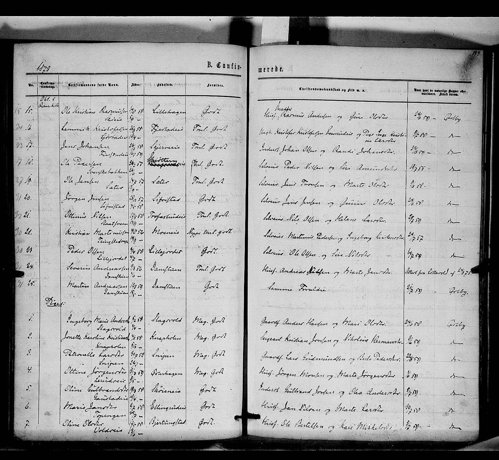 Romedal prestekontor, AV/SAH-PREST-004/K/L0005: Parish register (official) no. 5, 1862-1874, p. 193