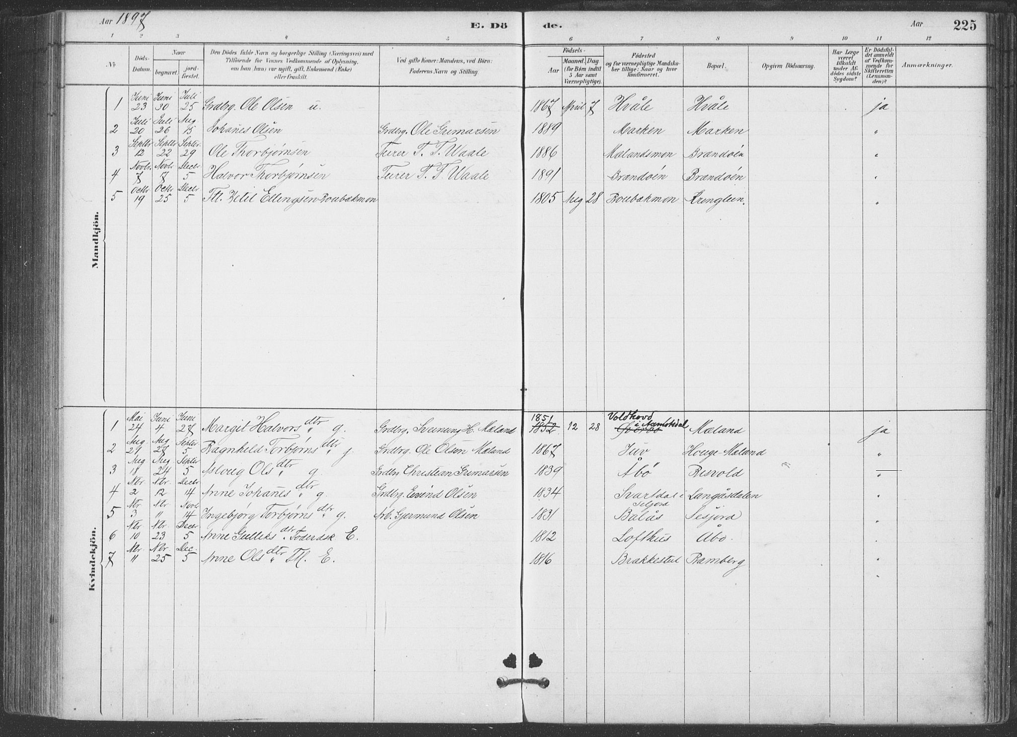 Hjartdal kirkebøker, AV/SAKO-A-270/F/Fa/L0010: Parish register (official) no. I 10, 1880-1929, p. 225