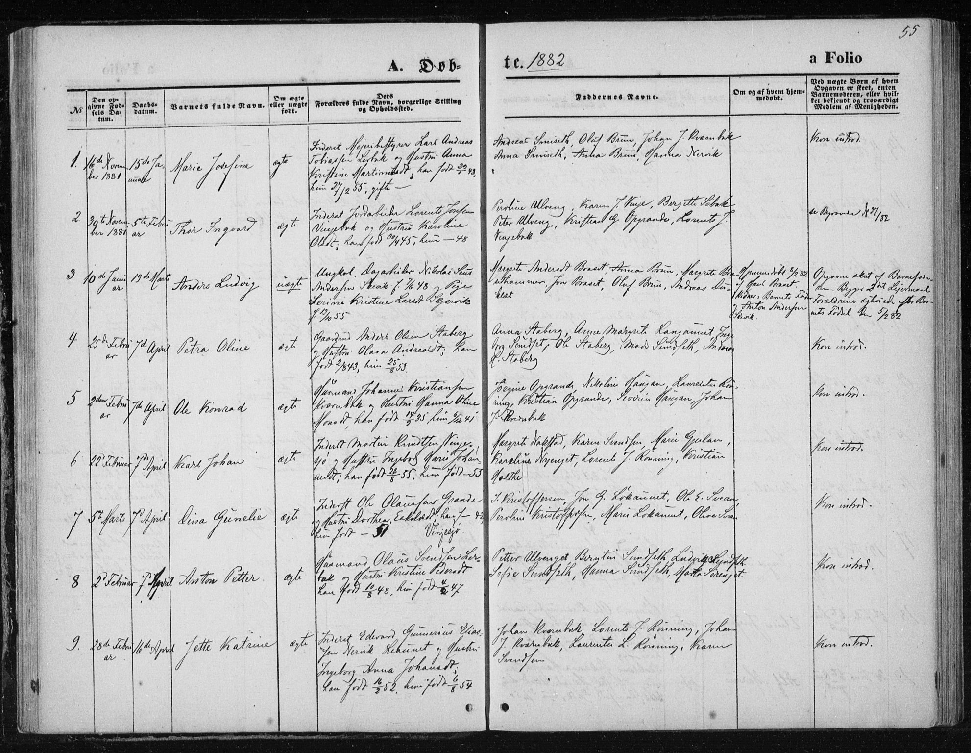 Ministerialprotokoller, klokkerbøker og fødselsregistre - Nord-Trøndelag, SAT/A-1458/733/L0324: Parish register (official) no. 733A03, 1870-1883, p. 55
