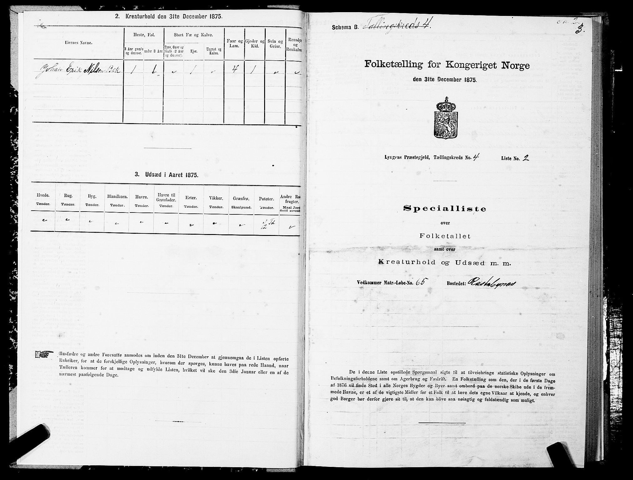 SATØ, 1875 census for 1938P Lyngen, 1875, p. 4003