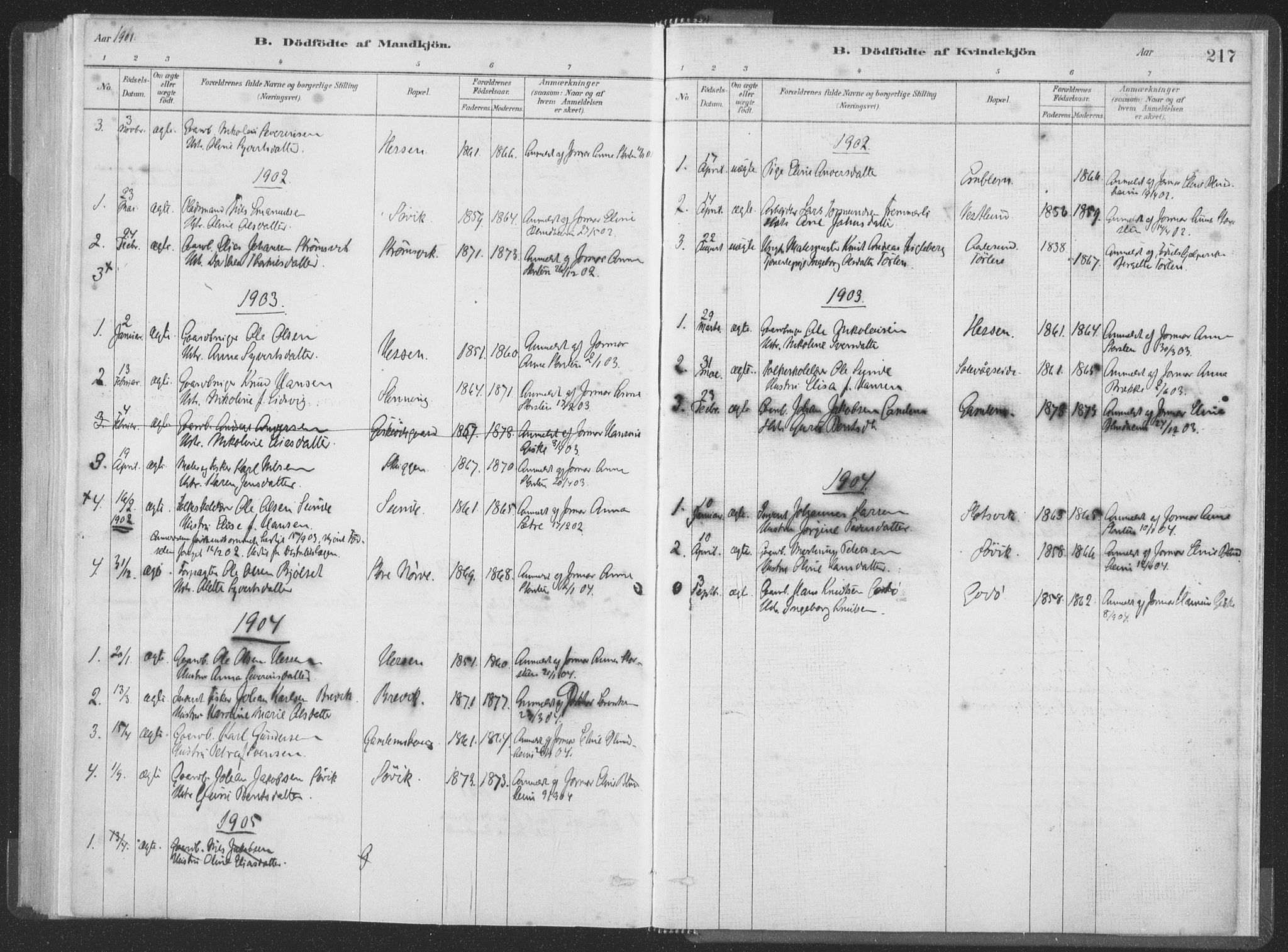 Ministerialprotokoller, klokkerbøker og fødselsregistre - Møre og Romsdal, AV/SAT-A-1454/528/L0401: Parish register (official) no. 528A12I, 1880-1920, p. 217