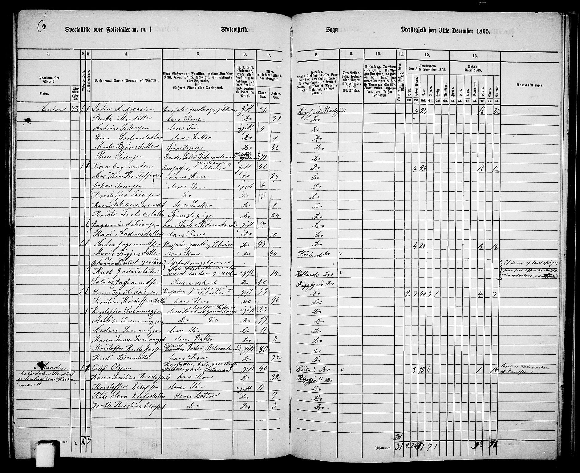 RA, 1865 census for Høgsfjord, 1865, p. 123