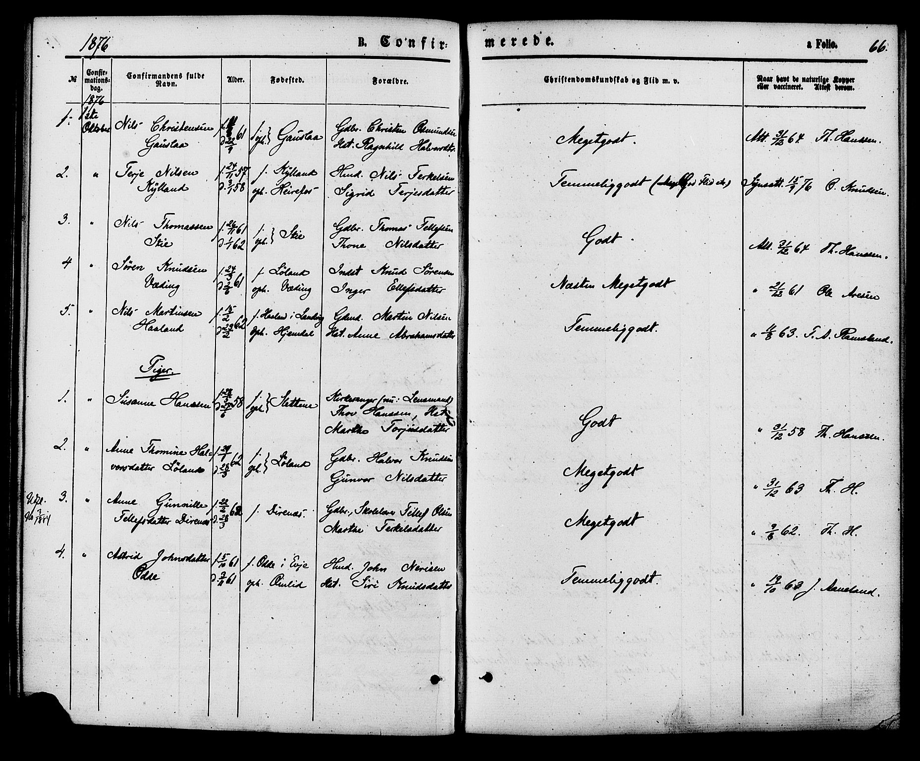 Herefoss sokneprestkontor, AV/SAK-1111-0019/F/Fa/Faa/L0002: Parish register (official) no. A 2, 1861-1886, p. 66