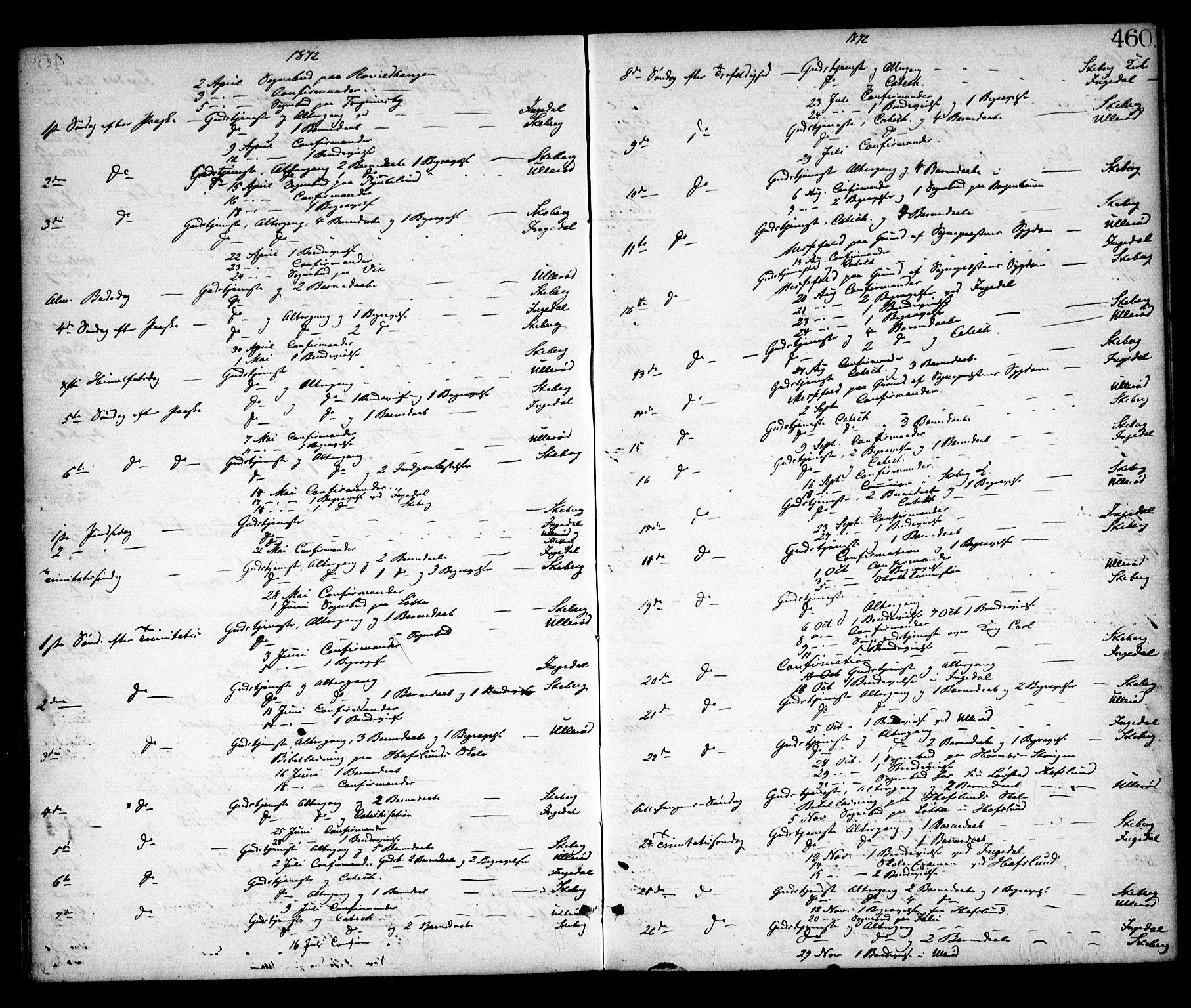 Skjeberg prestekontor Kirkebøker, SAO/A-10923/F/Fa/L0008: Parish register (official) no. I 8, 1869-1885, p. 460