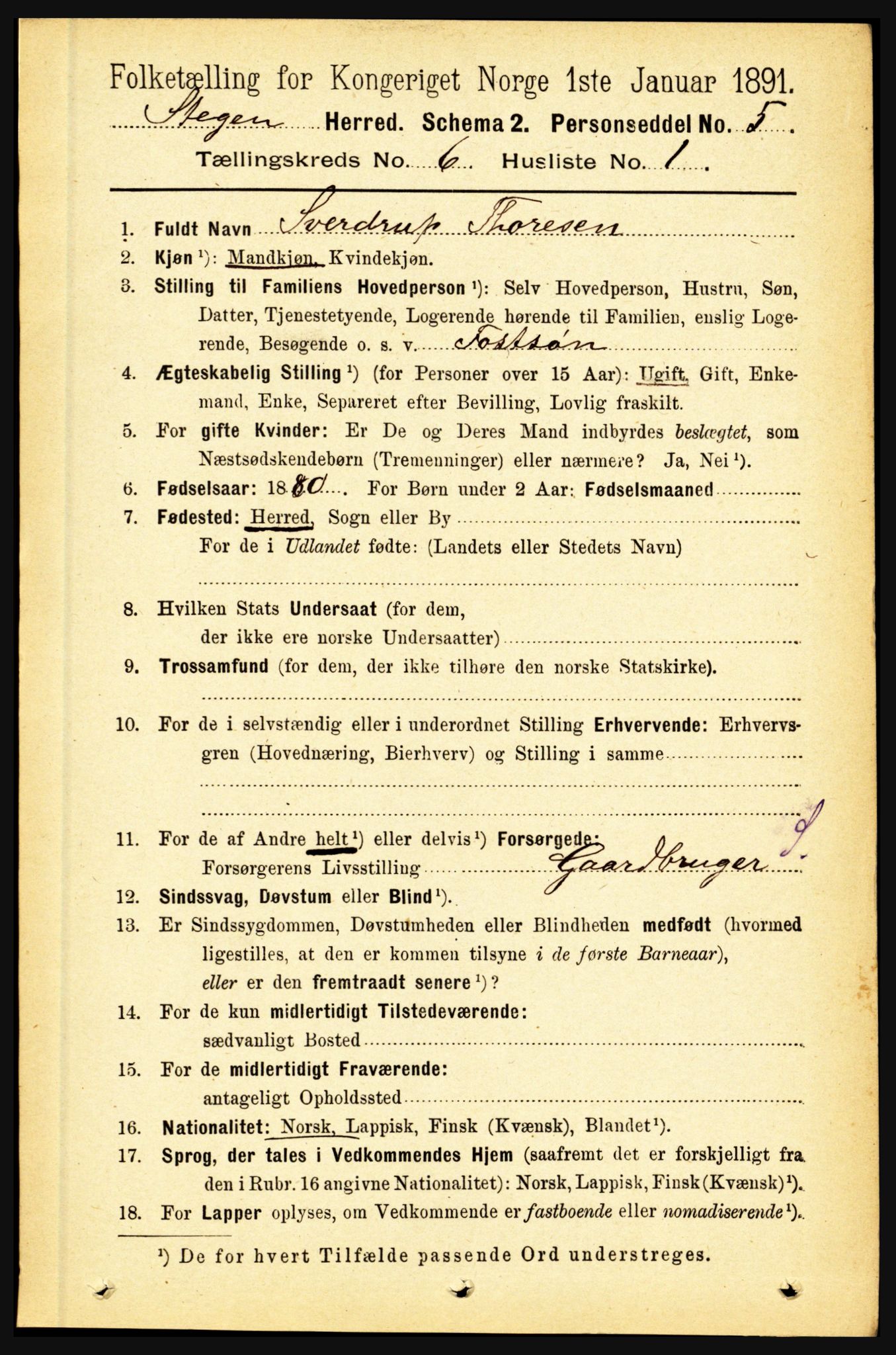 RA, 1891 census for 1848 Steigen, 1891, p. 2029