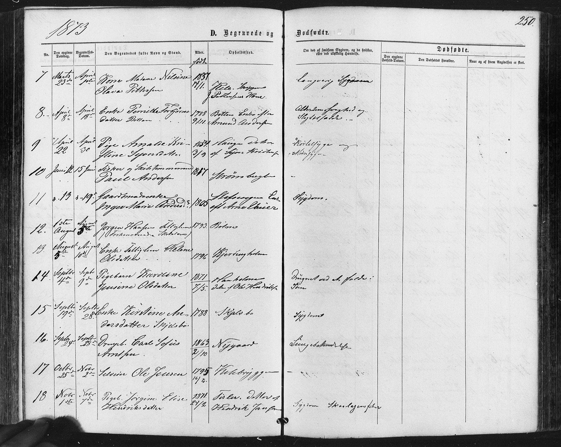 Hvaler prestekontor Kirkebøker, SAO/A-2001/F/Fa/L0007: Parish register (official) no. I 7, 1864-1878, p. 250
