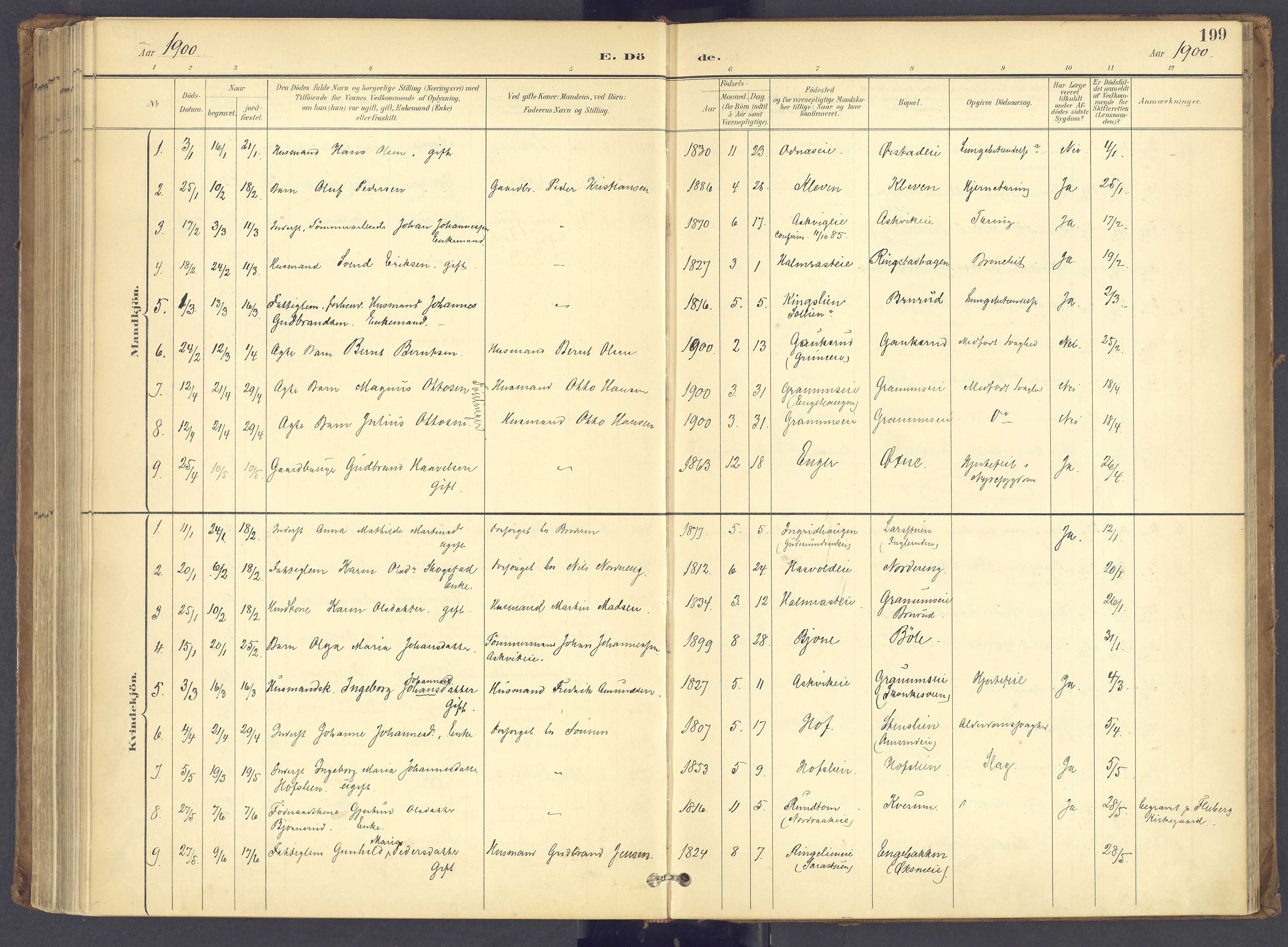 Søndre Land prestekontor, SAH/PREST-122/K/L0006: Parish register (official) no. 6, 1895-1904, p. 199