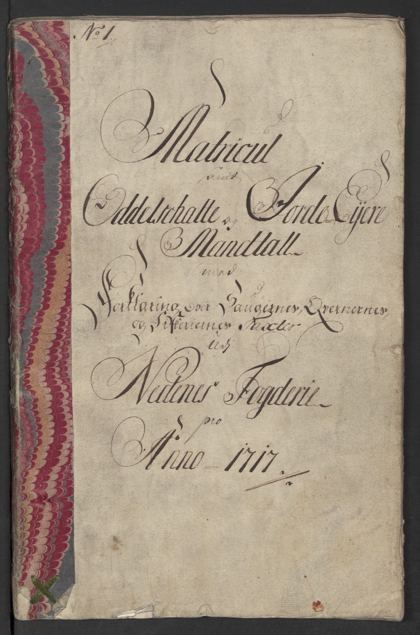 Rentekammeret inntil 1814, Reviderte regnskaper, Fogderegnskap, AV/RA-EA-4092/R39/L2326: Fogderegnskap Nedenes, 1717, p. 28