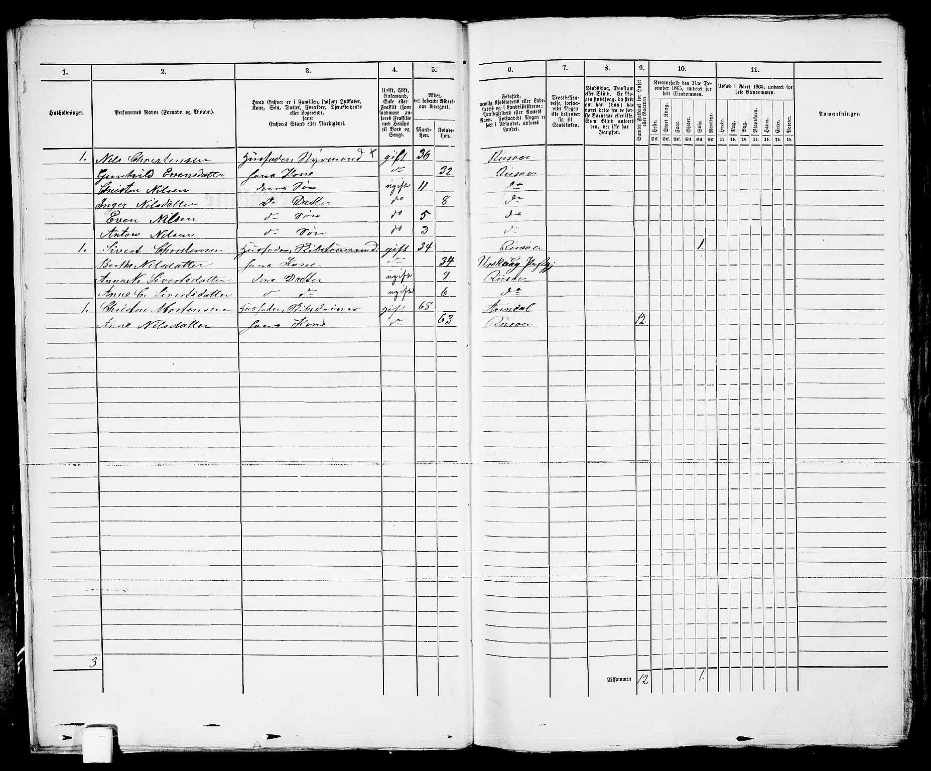 RA, 1865 census for Risør/Risør, 1865, p. 20