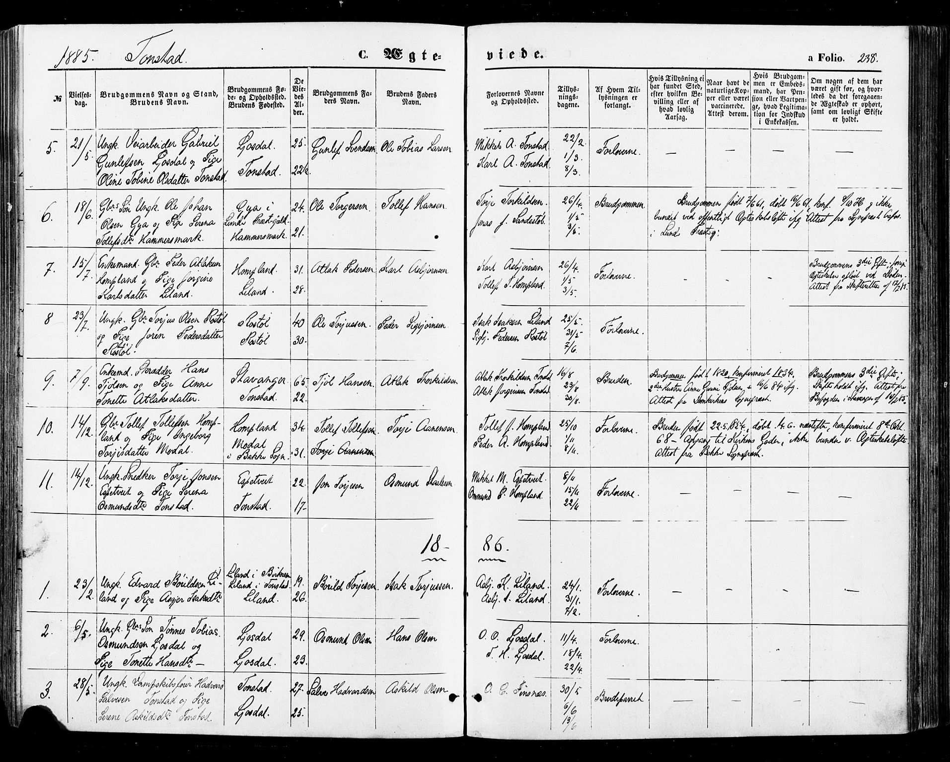 Sirdal sokneprestkontor, AV/SAK-1111-0036/F/Fa/Fab/L0003: Parish register (official) no. A 3, 1874-1886, p. 238