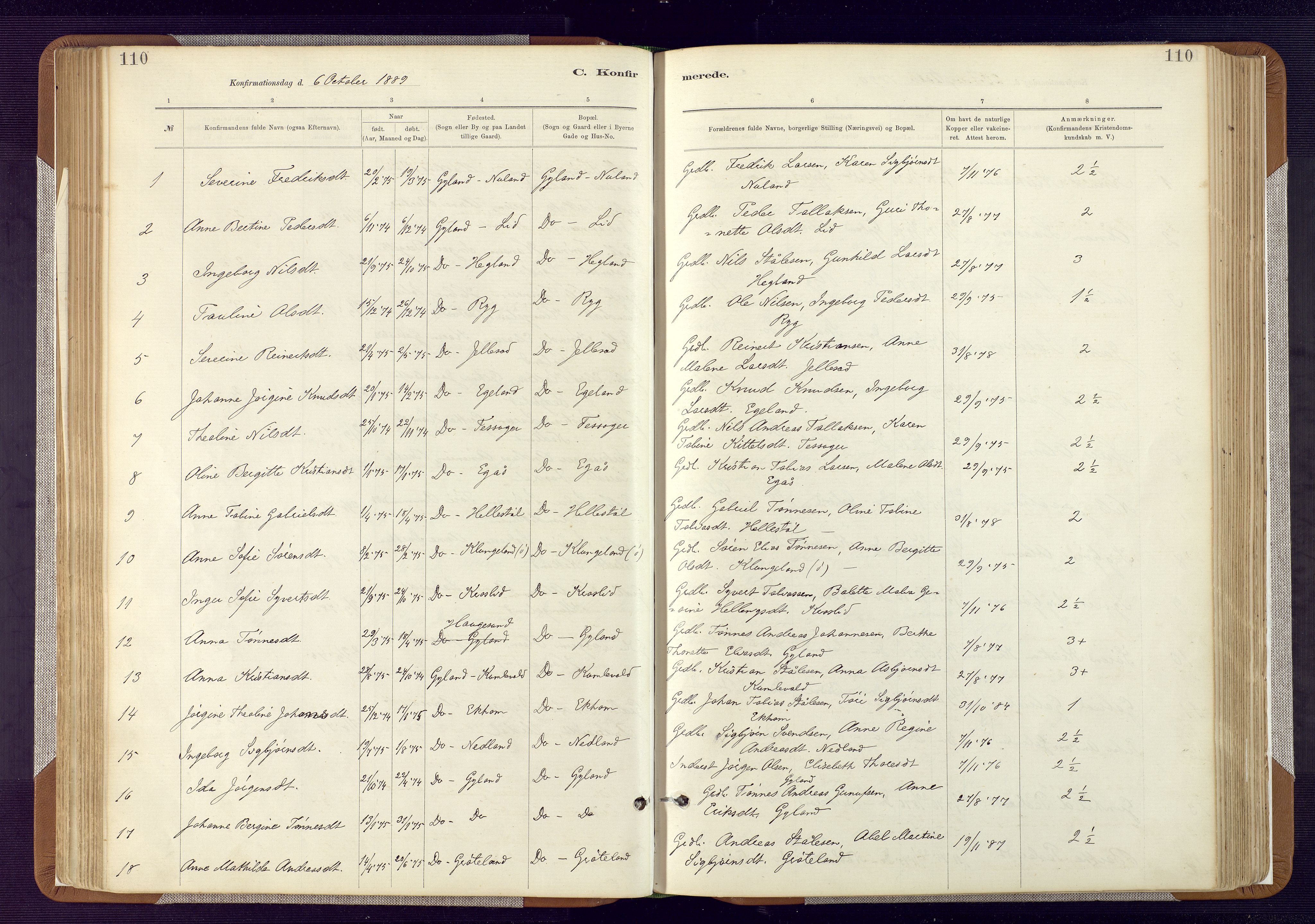 Bakke sokneprestkontor, SAK/1111-0002/F/Fa/Fab/L0003: Parish register (official) no. A 3, 1884-1921, p. 110