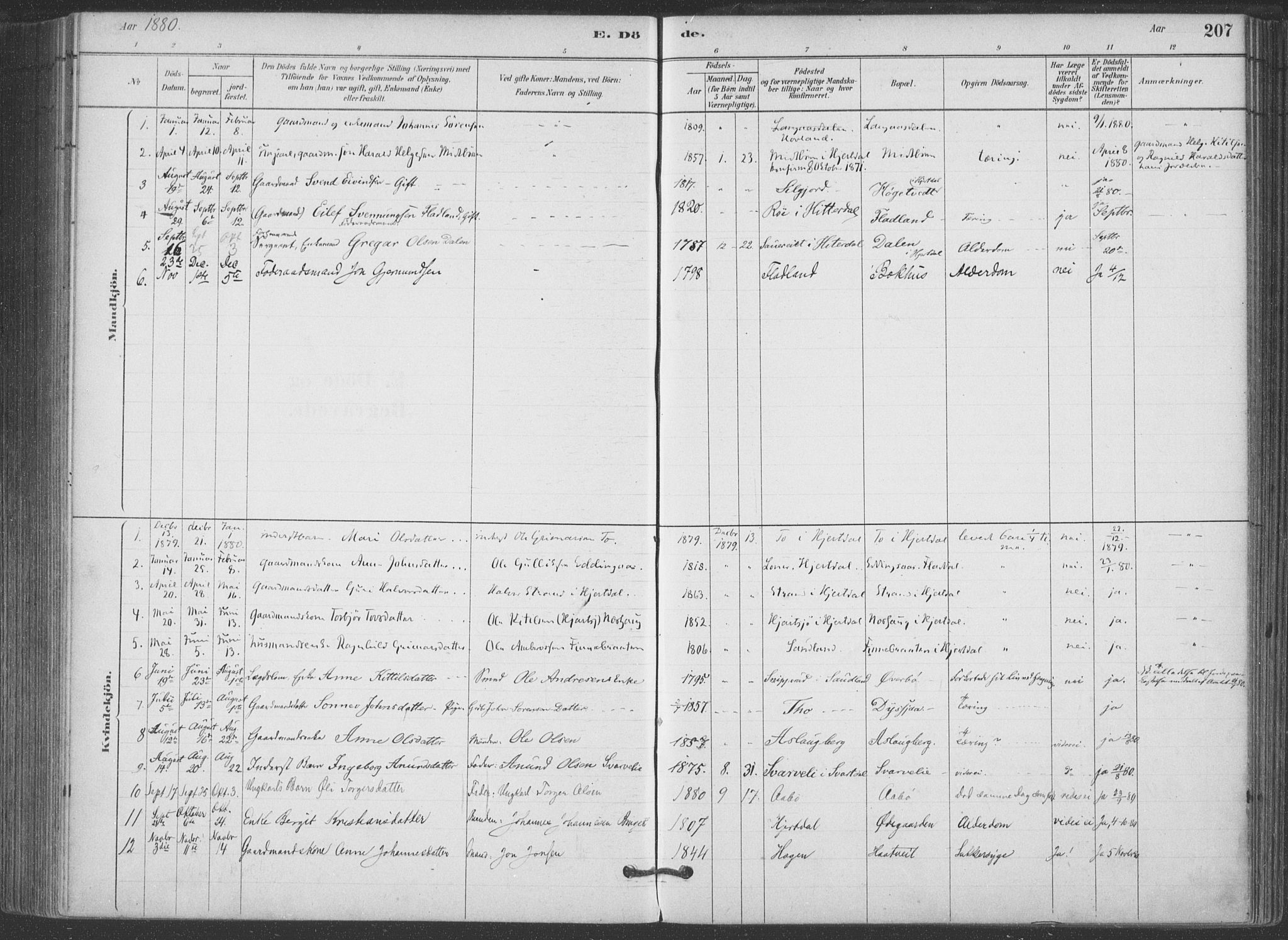 Hjartdal kirkebøker, AV/SAKO-A-270/F/Fa/L0010: Parish register (official) no. I 10, 1880-1929, p. 207