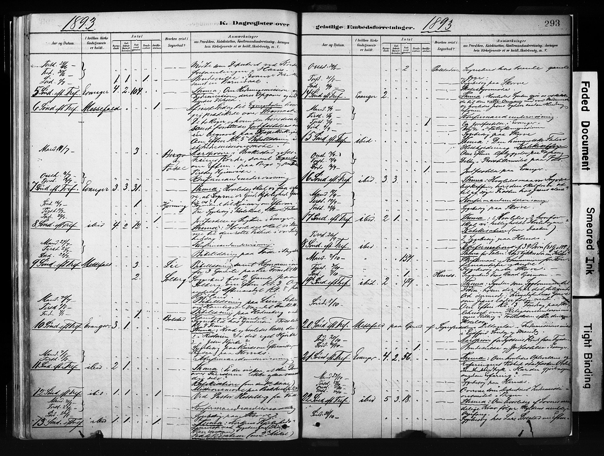 Evanger sokneprestembete, AV/SAB-A-99924: Parish register (official) no. A 1, 1877-1899, p. 293