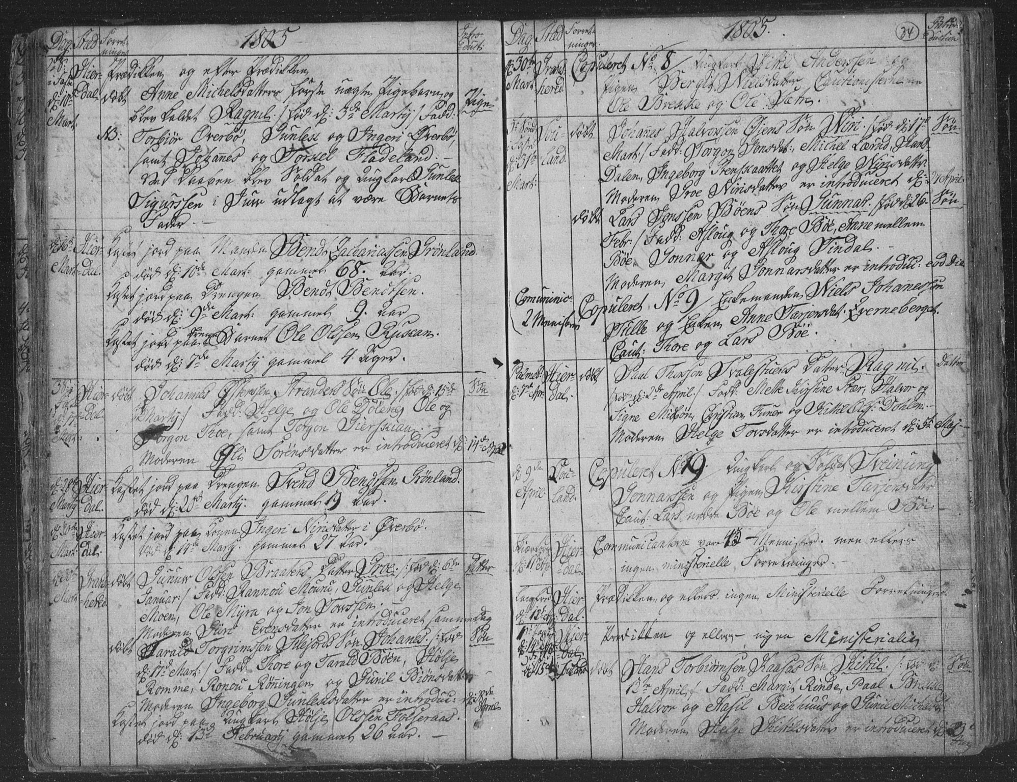 Hjartdal kirkebøker, AV/SAKO-A-270/F/Fa/L0006: Parish register (official) no. I 6, 1801-1814, p. 34