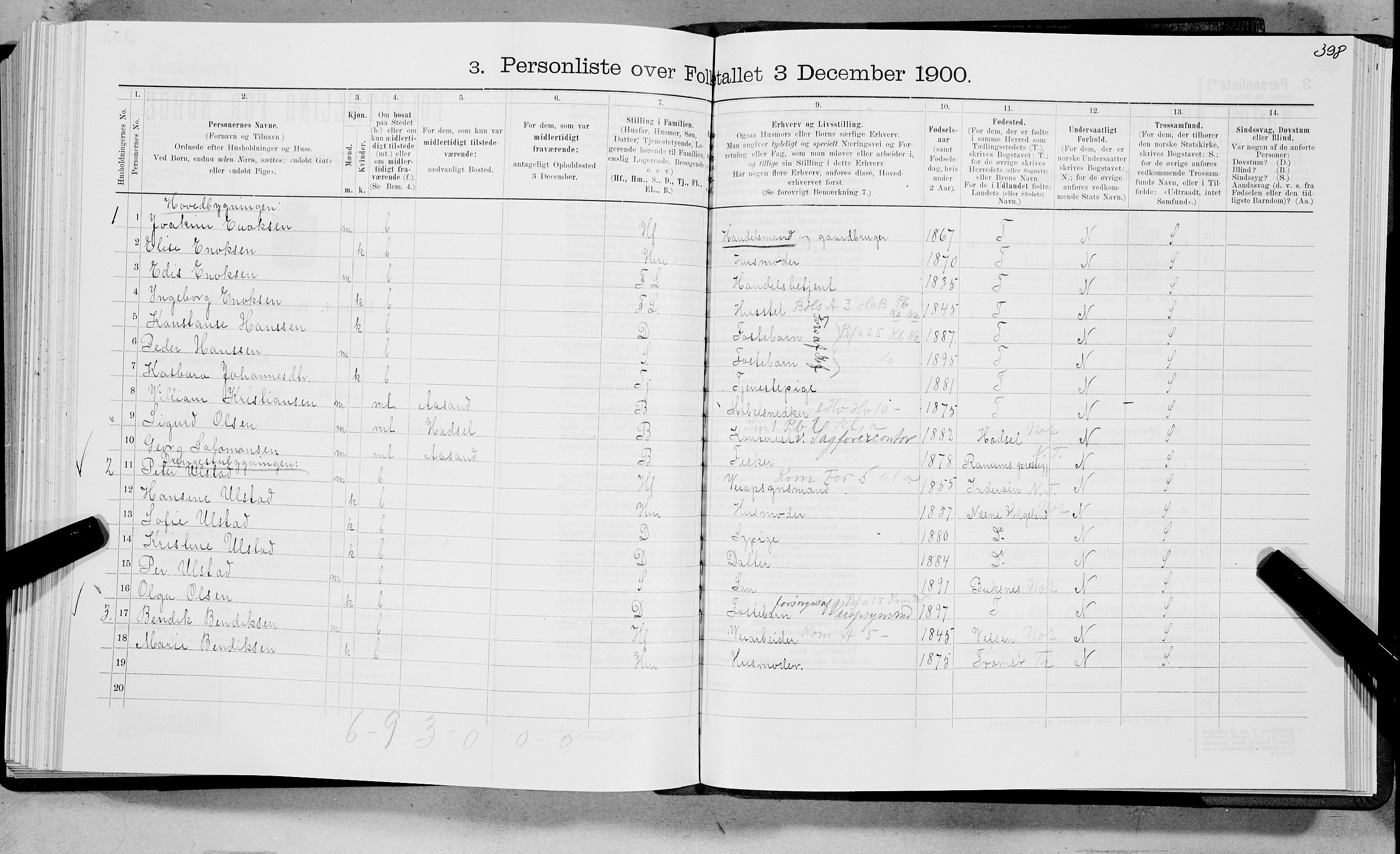 SAT, 1900 census for Bø, 1900, p. 809