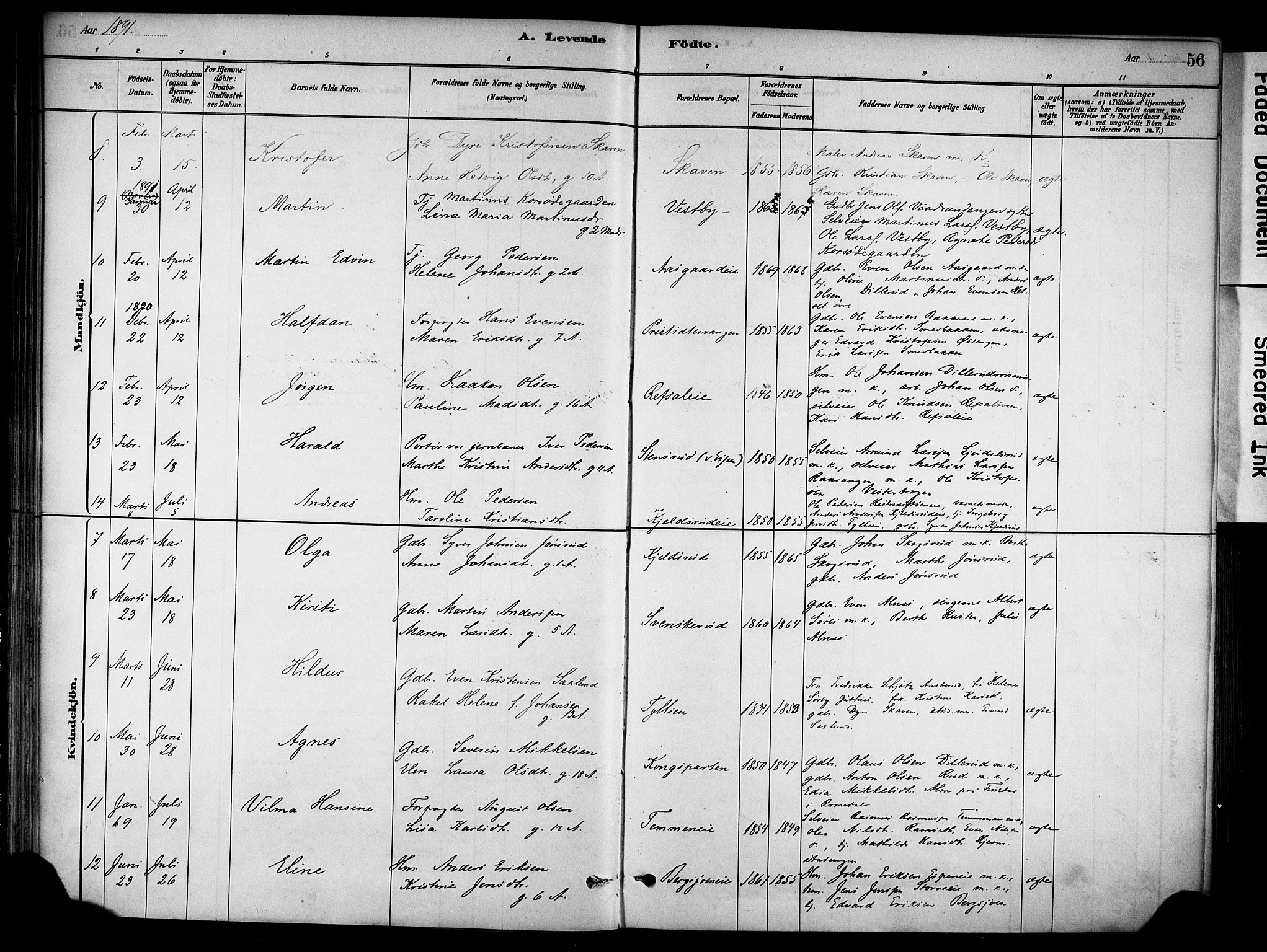 Stange prestekontor, AV/SAH-PREST-002/K/L0018: Parish register (official) no. 18, 1880-1896, p. 56