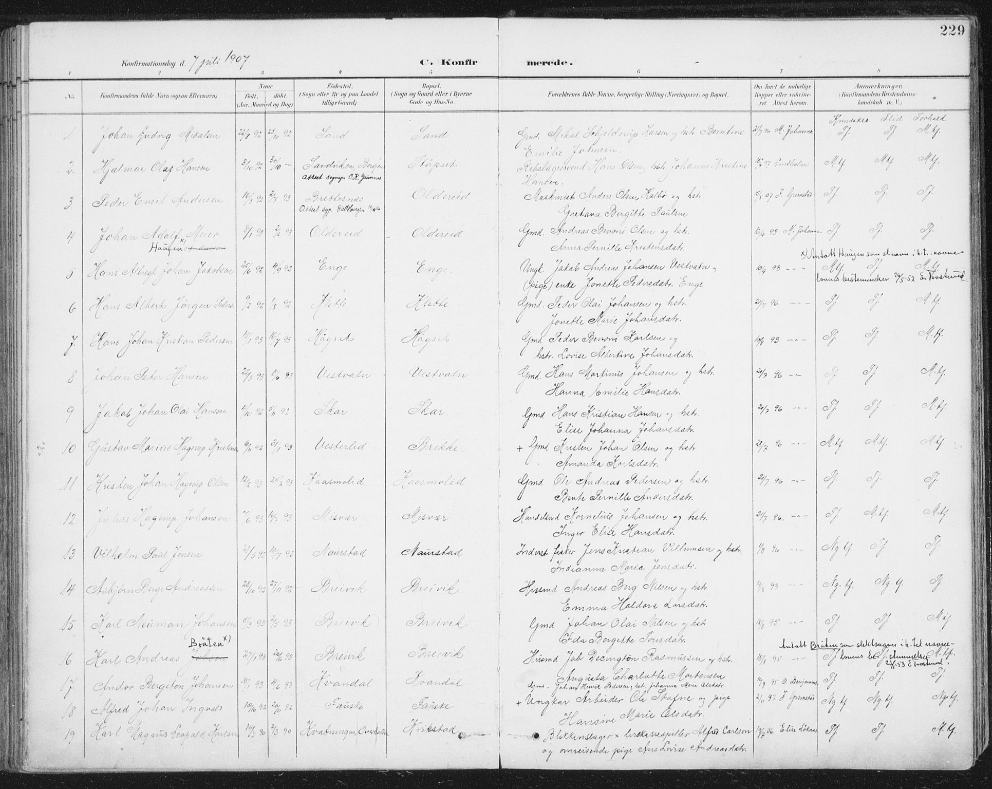 Ministerialprotokoller, klokkerbøker og fødselsregistre - Nordland, AV/SAT-A-1459/852/L0741: Parish register (official) no. 852A11, 1894-1917, p. 229