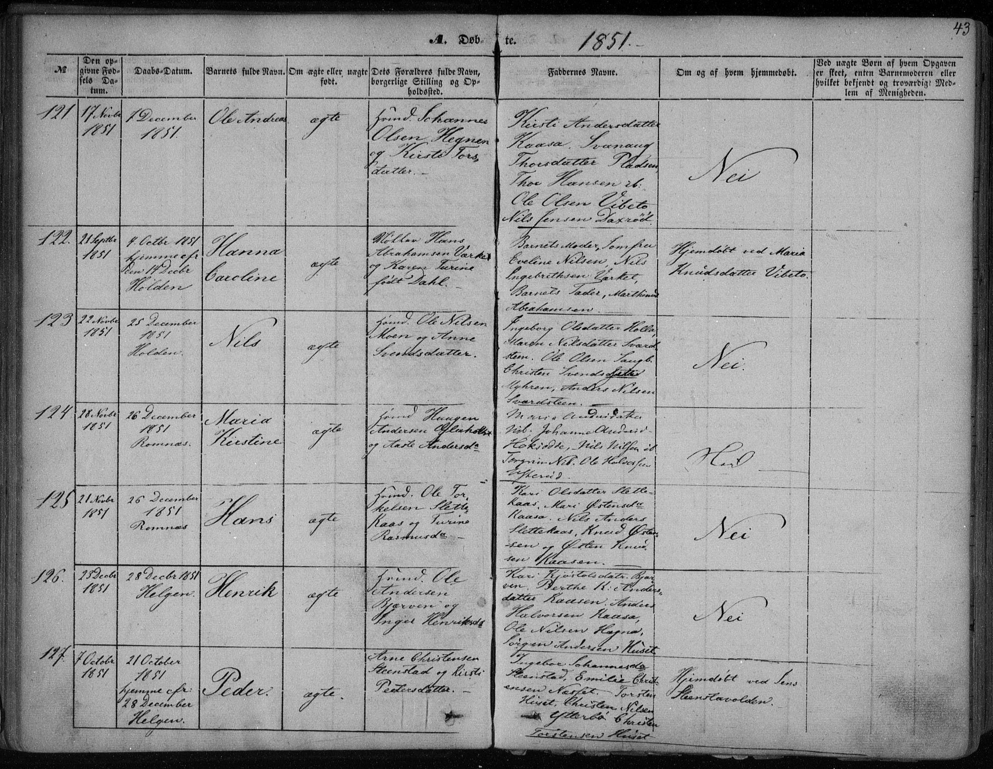 Holla kirkebøker, SAKO/A-272/F/Fa/L0005: Parish register (official) no. 5, 1849-1860, p. 43