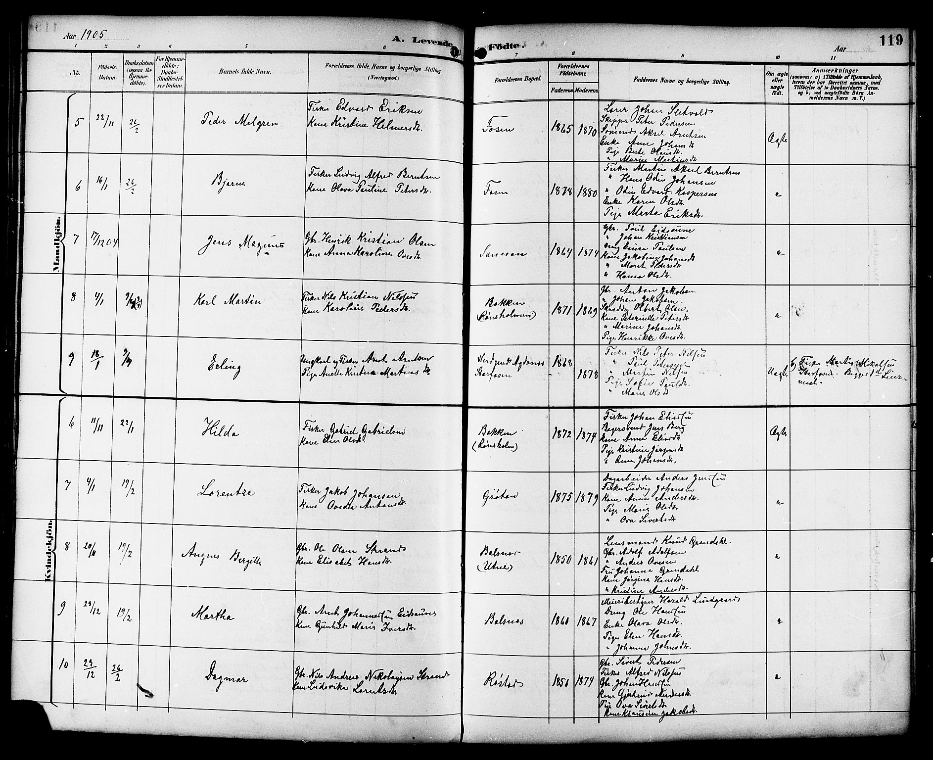 Ministerialprotokoller, klokkerbøker og fødselsregistre - Sør-Trøndelag, SAT/A-1456/659/L0746: Parish register (copy) no. 659C03, 1893-1912, p. 119