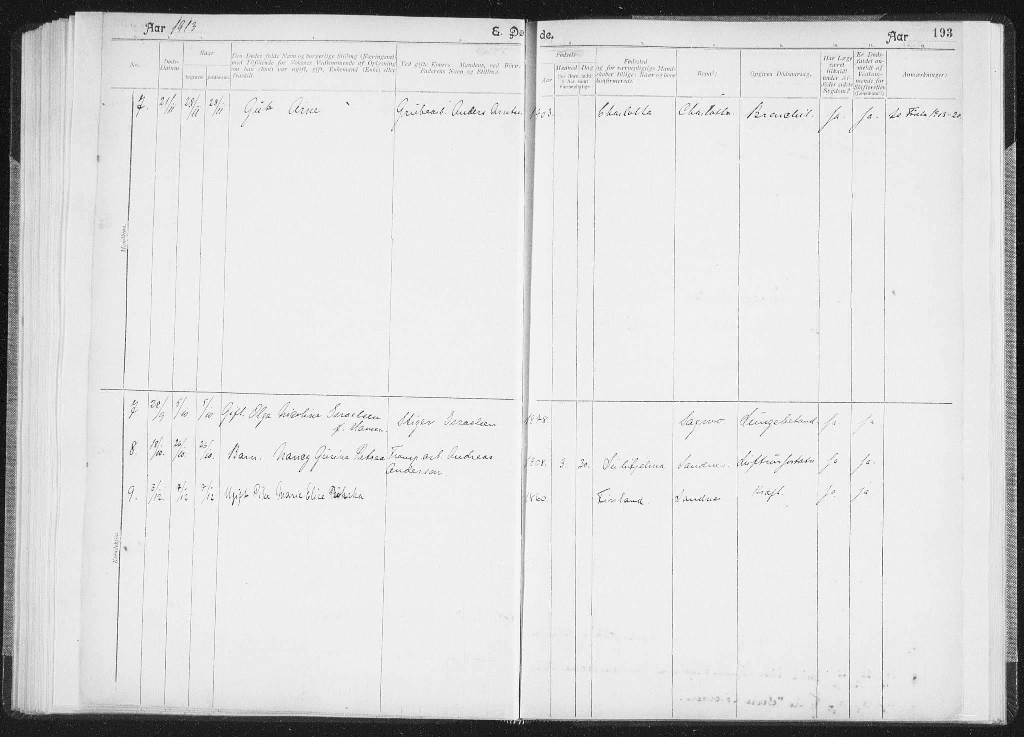 Ministerialprotokoller, klokkerbøker og fødselsregistre - Nordland, SAT/A-1459/850/L0711: Curate's parish register no. 850B01, 1902-1915, p. 193