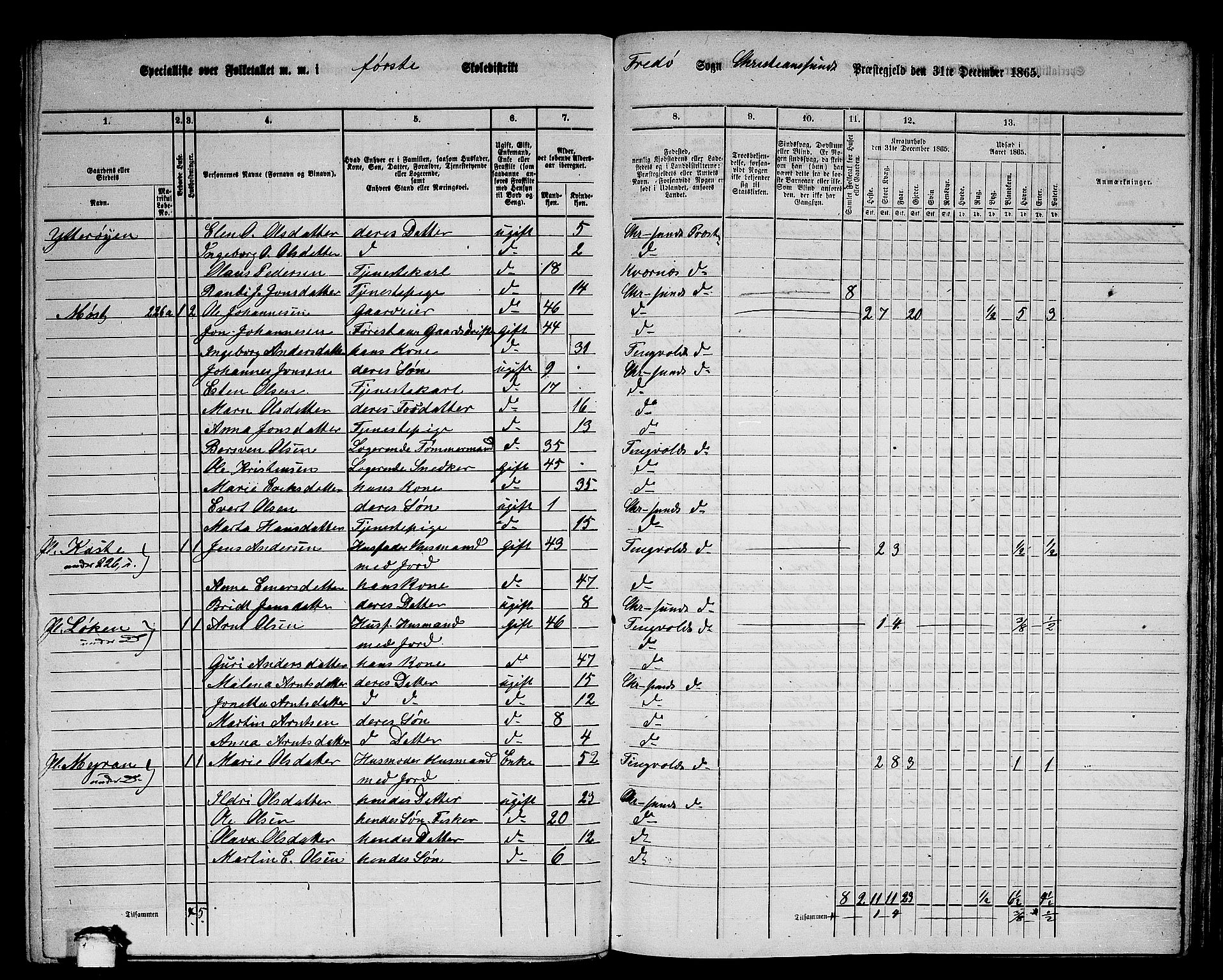 RA, 1865 census for Kristiansund/Frei og Grip, 1865, p. 6