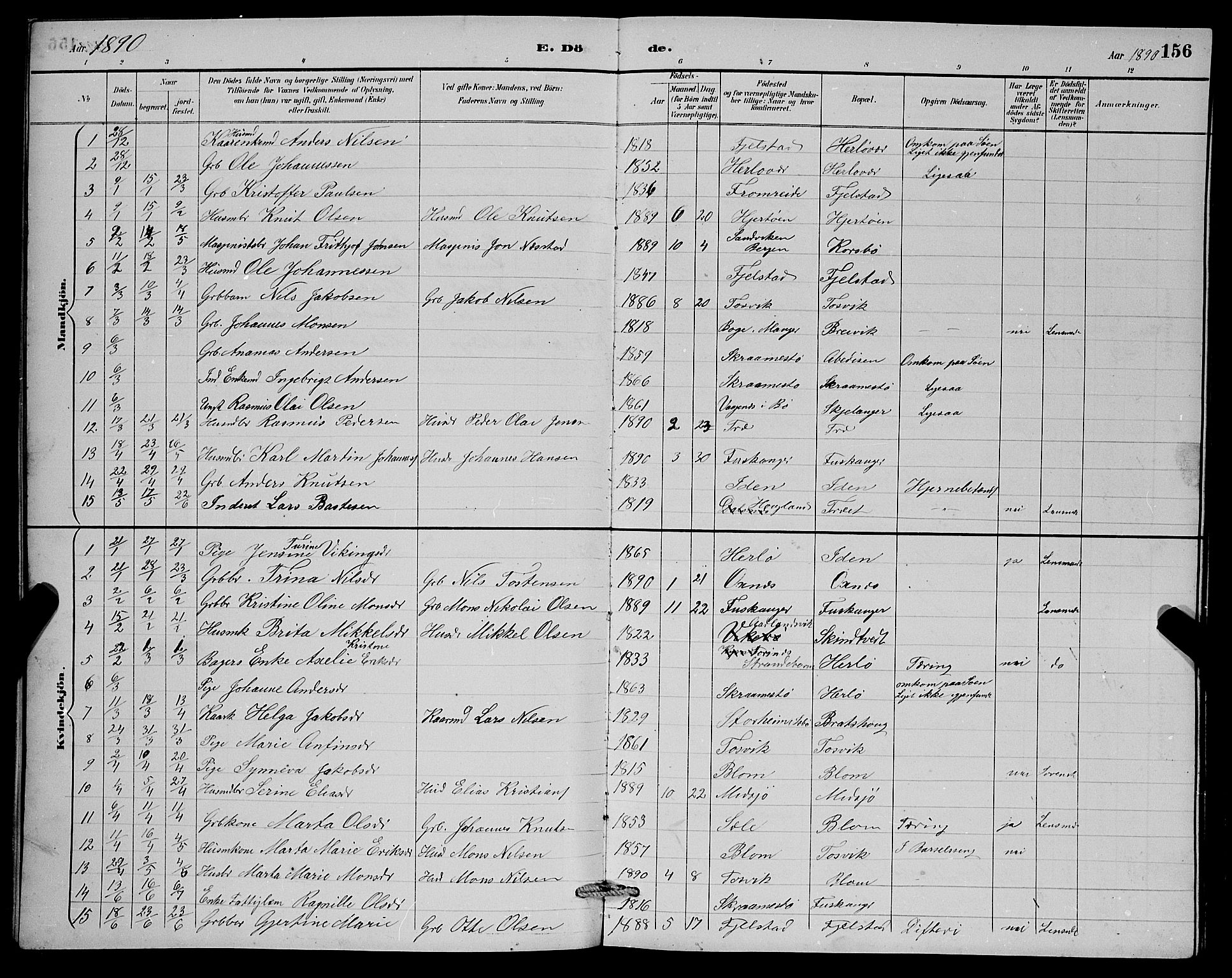 Herdla Sokneprestembete, SAB/A-75701/H/Hab: Parish register (copy) no. A 3, 1889-1899, p. 156
