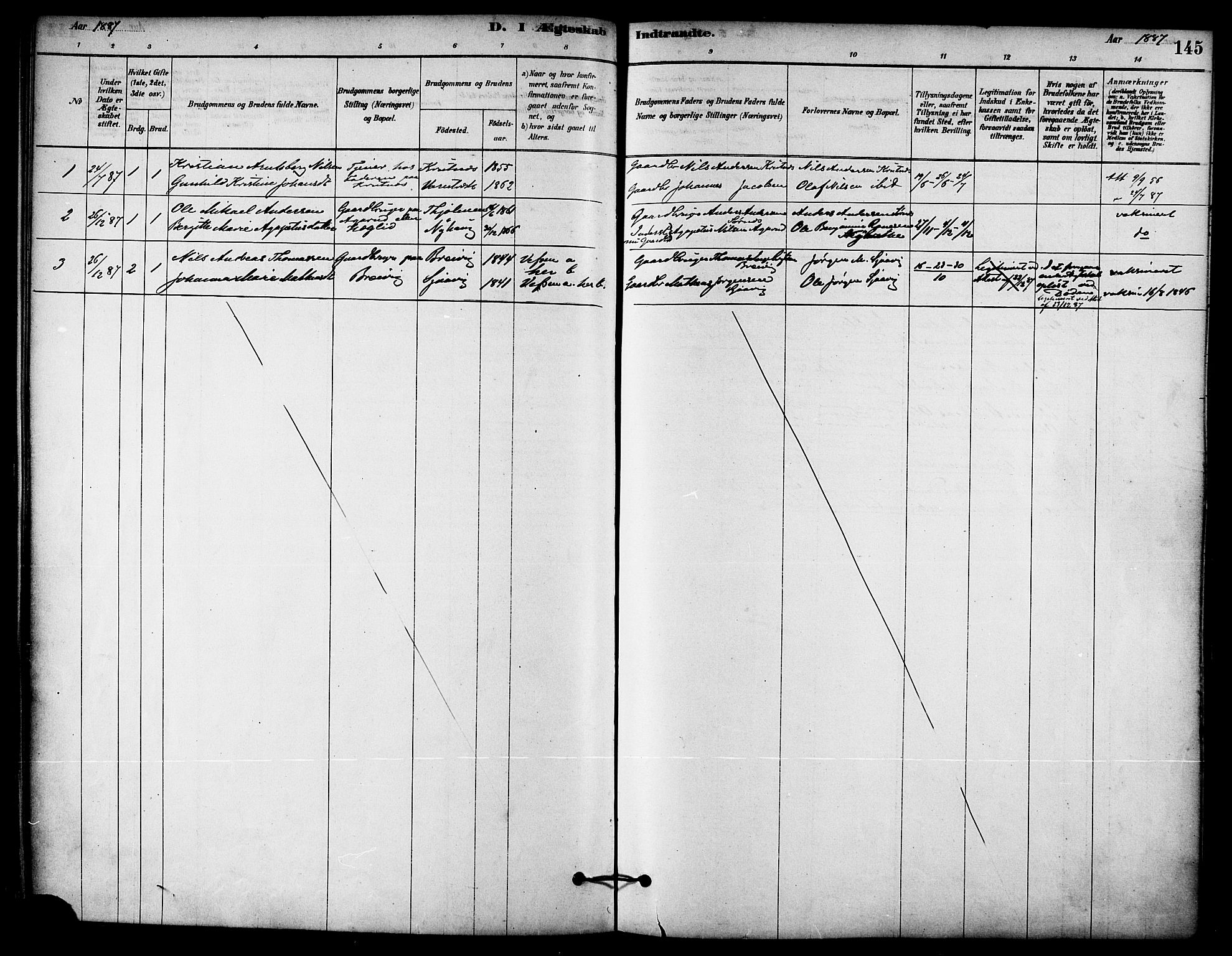 Ministerialprotokoller, klokkerbøker og fødselsregistre - Nordland, AV/SAT-A-1459/823/L0325: Parish register (official) no. 823A02, 1878-1898, p. 145