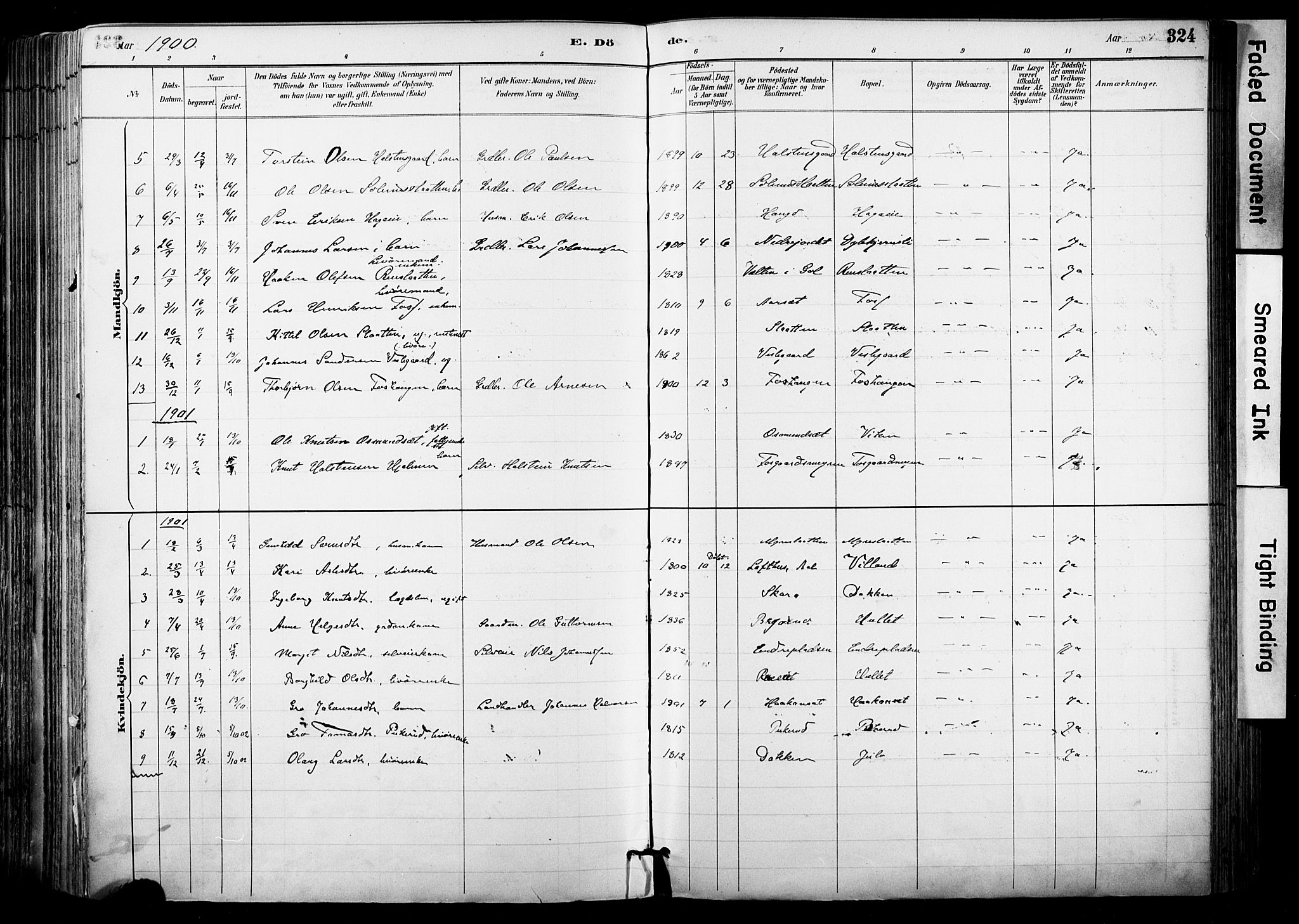 Hol kirkebøker, SAKO/A-227/F/Fa/L0003: Parish register (official) no. I 3, 1887-1918, p. 324