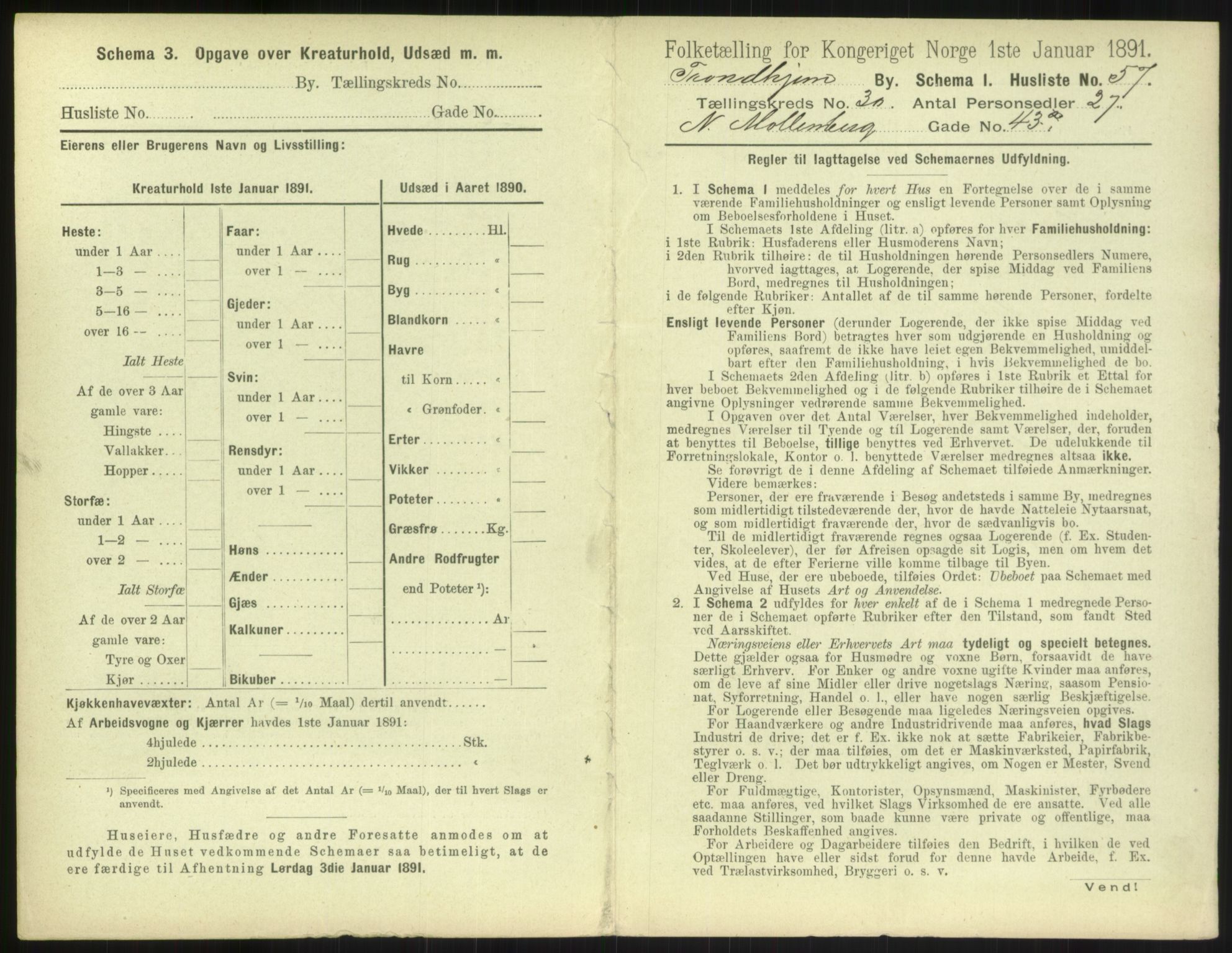 RA, 1891 census for 1601 Trondheim, 1891, p. 2306