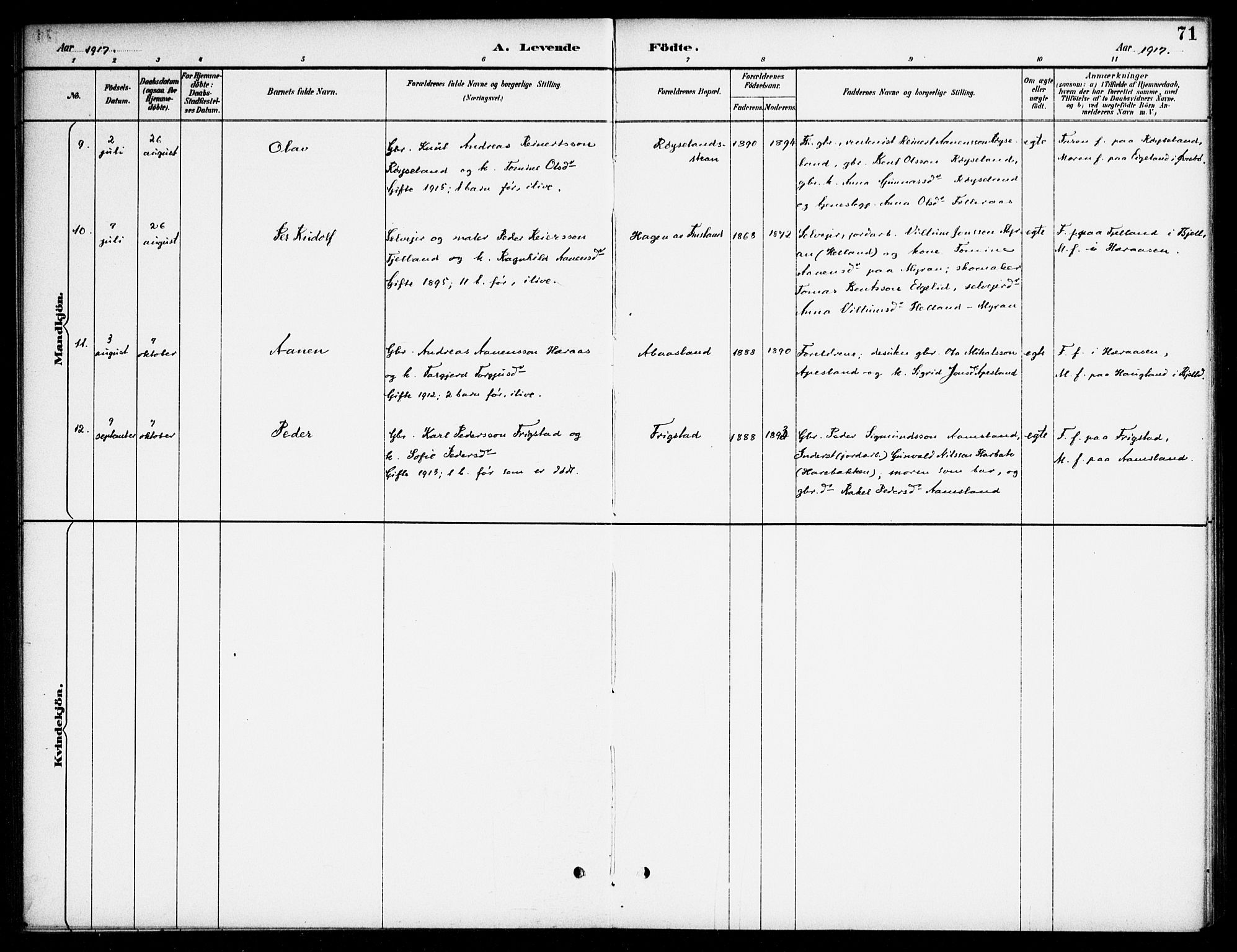 Bjelland sokneprestkontor, AV/SAK-1111-0005/F/Fa/Fab/L0004: Parish register (official) no. A 4, 1887-1920, p. 71