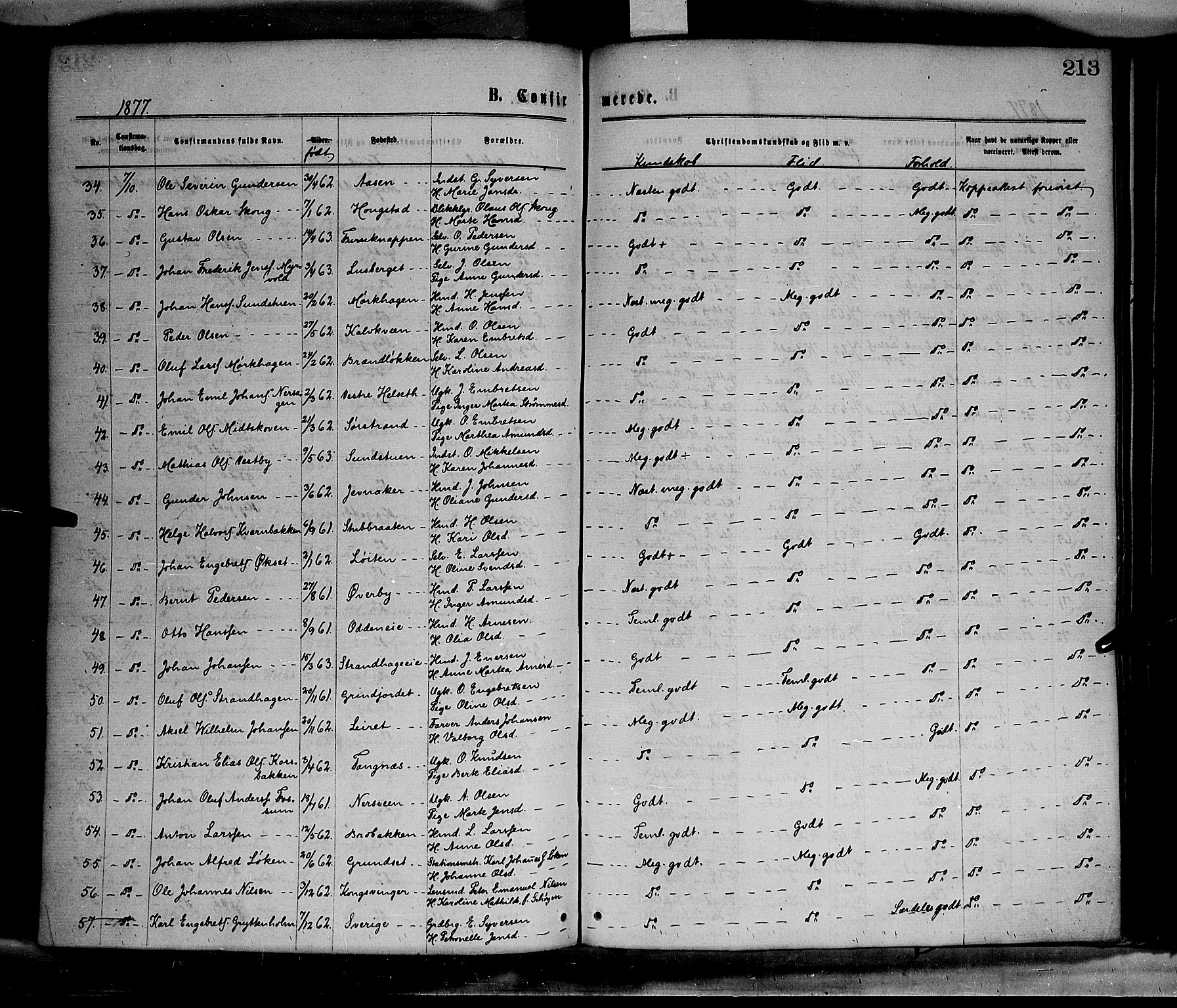 Elverum prestekontor, AV/SAH-PREST-044/H/Ha/Haa/L0011: Parish register (official) no. 11, 1869-1879, p. 213